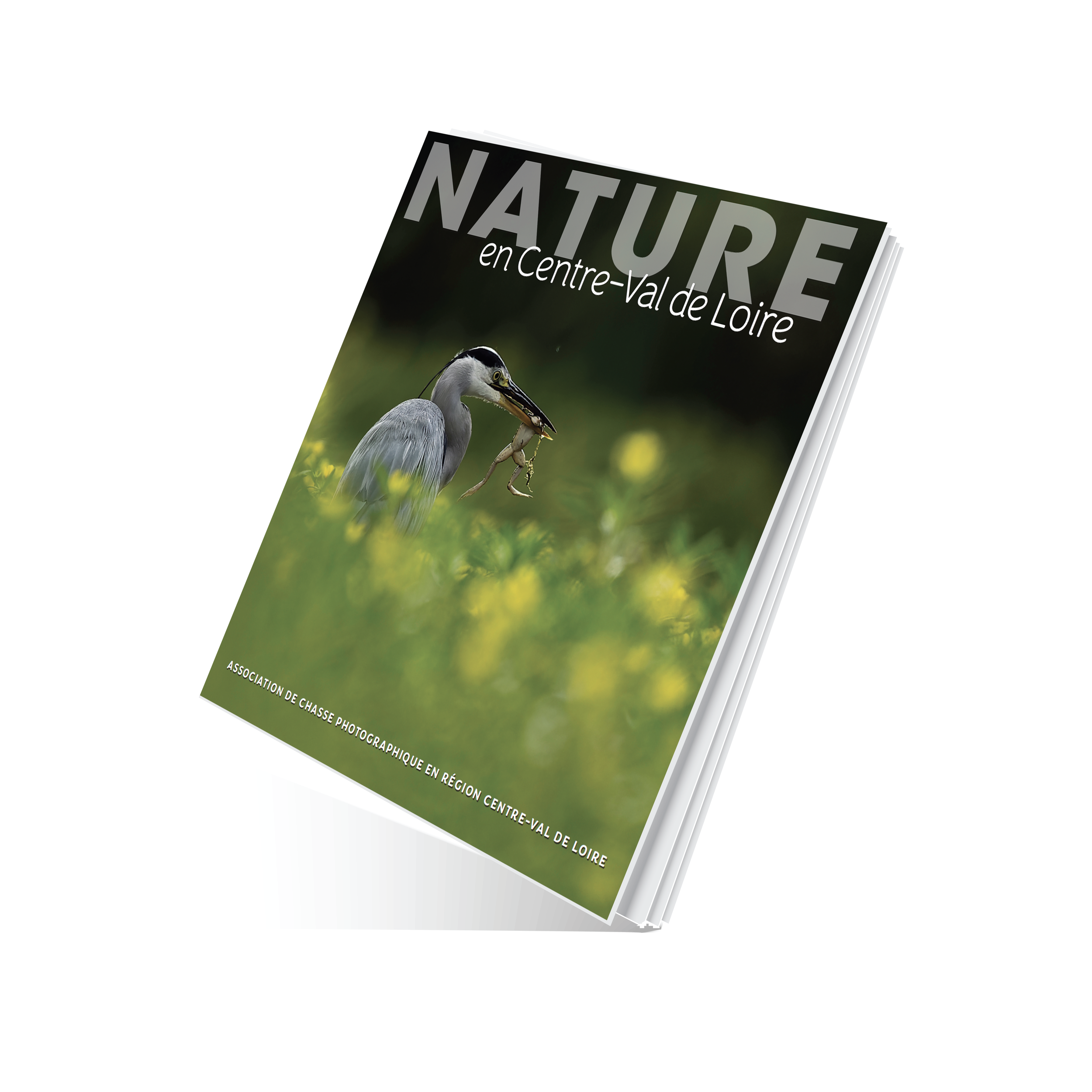 Couverture d'un magazine intitulé "NATURE en Centre-Val de Loire" avec une photo d'un héron accroché à un poisson dans un environnement naturel.