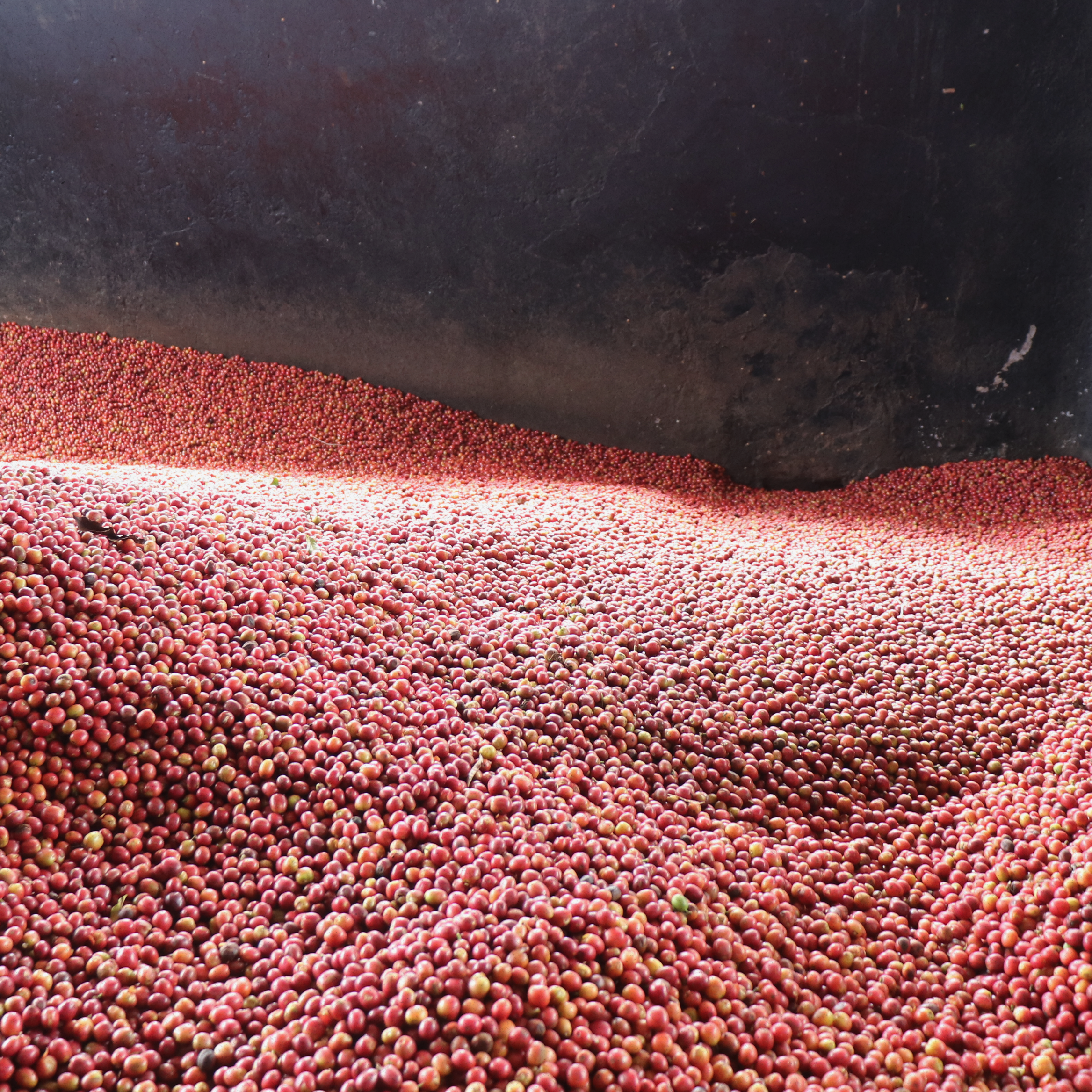 Kenyan Product Pic 3.png