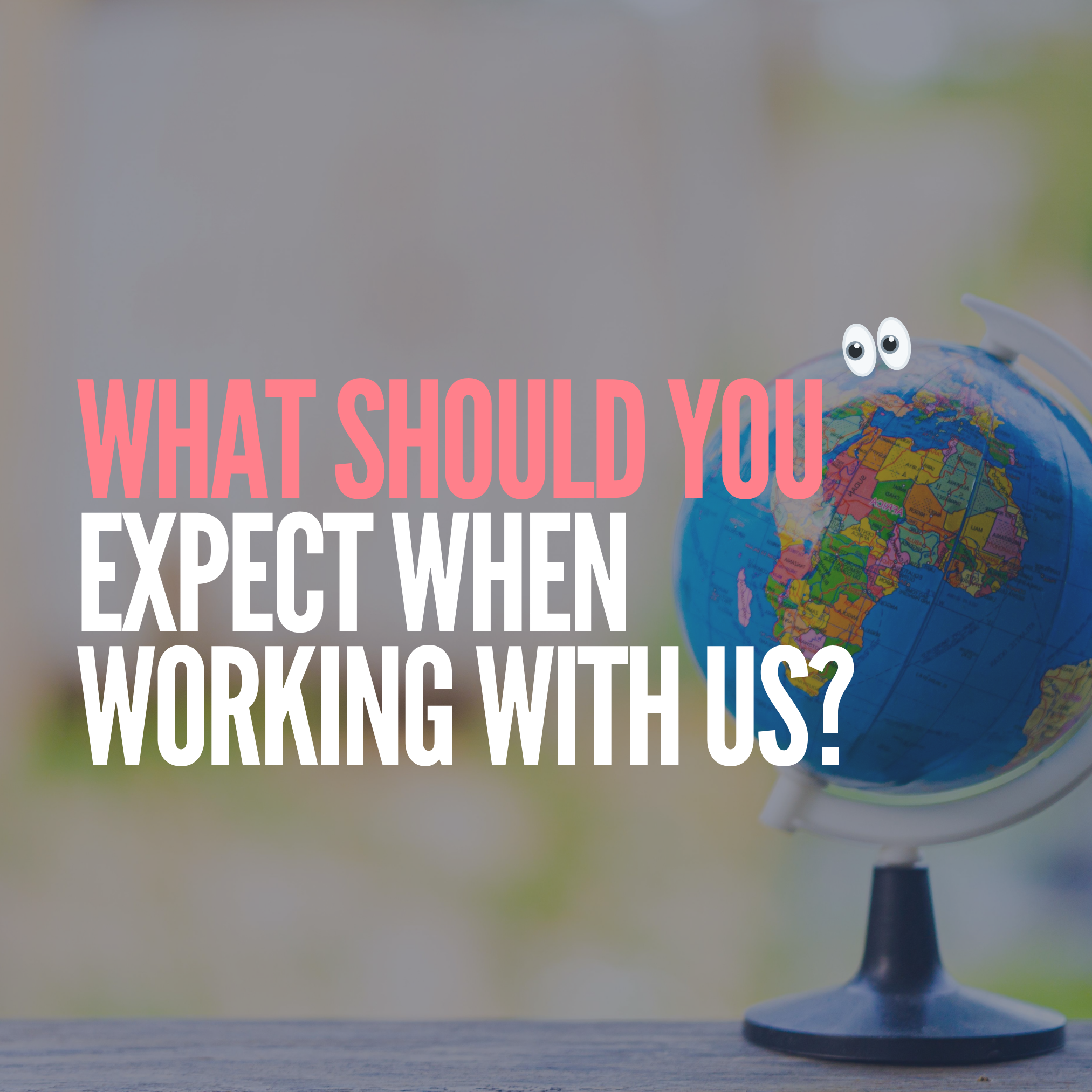 What Should I Expect When Working with a Translation Company?