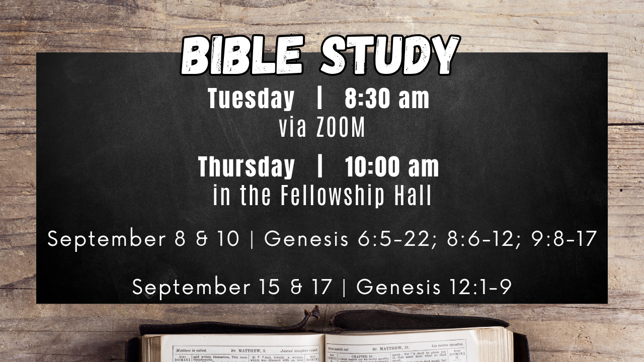 Bible Study.png
