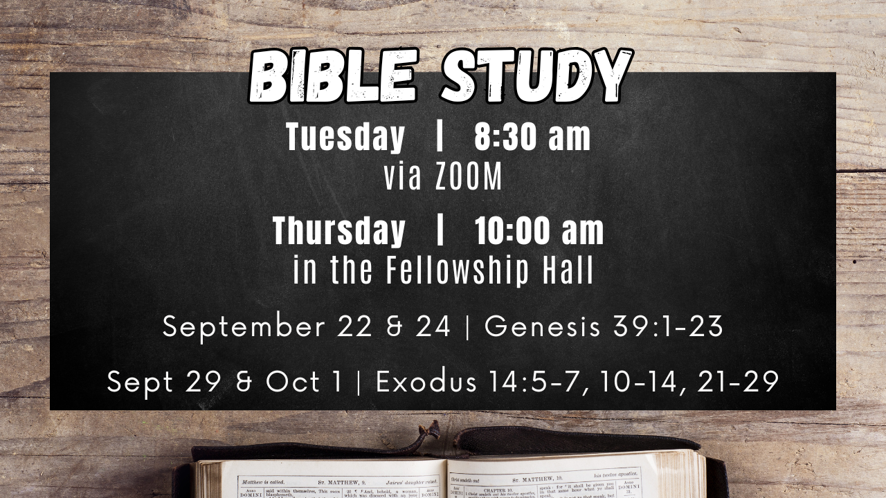 Bible Study.png