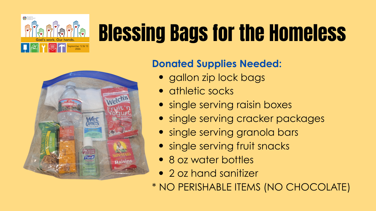 Blessing Bag for the Homeless.png
