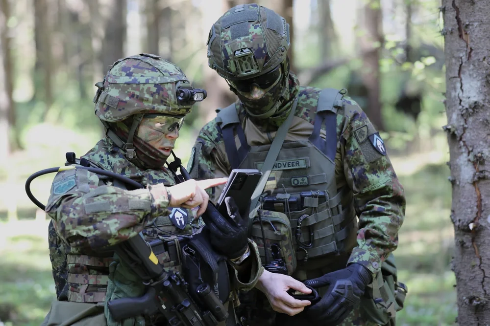 Strategic simulation: defending the Baltics
