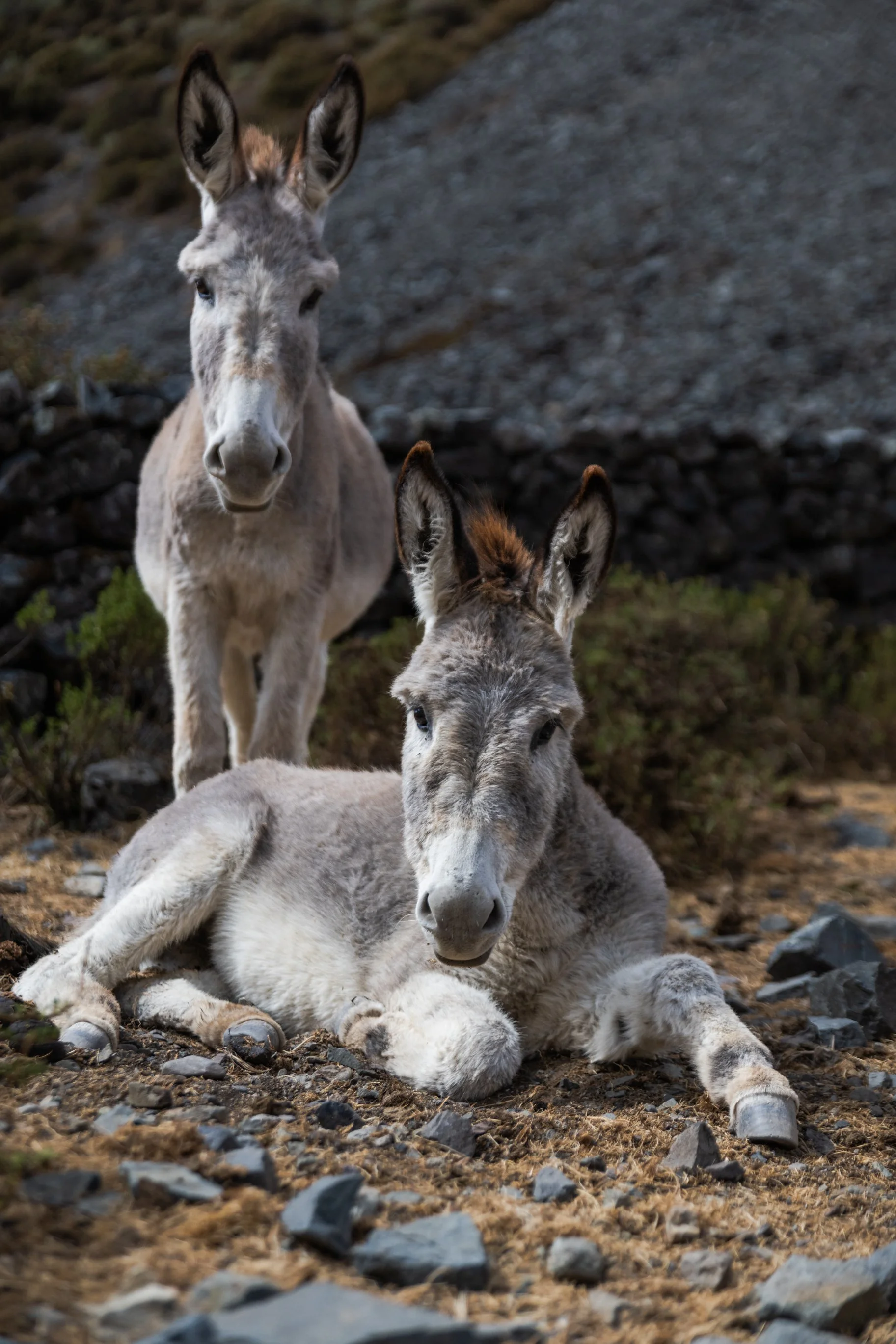 @leobrasil.photo-3976.jpg