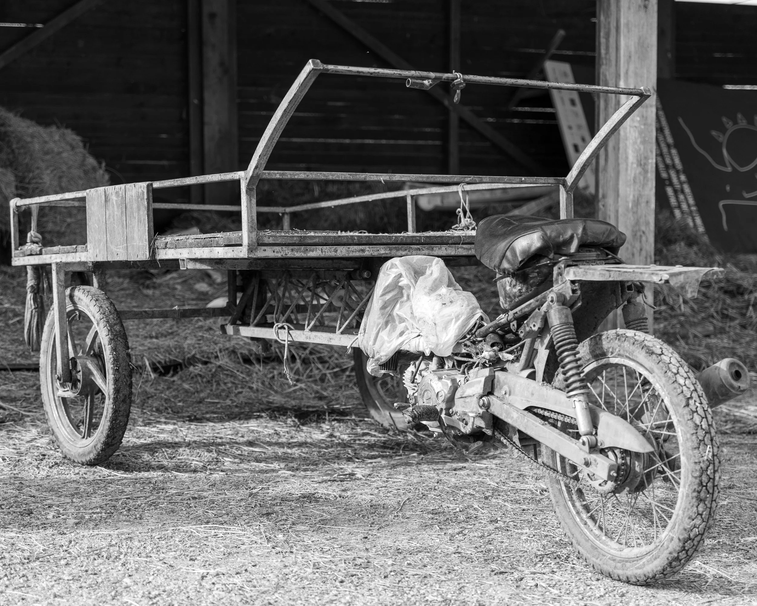 HE2A1936.jpg