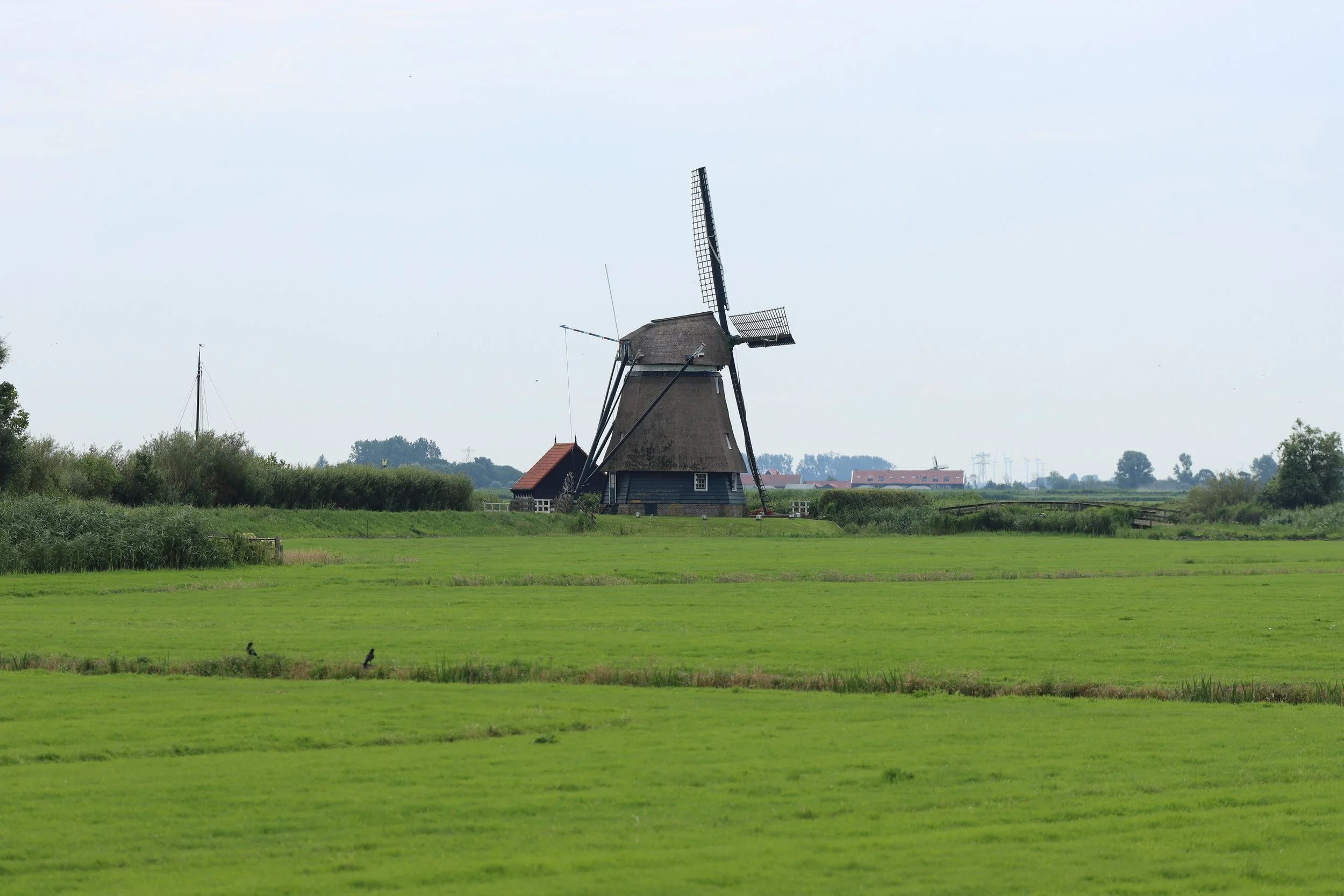 A traditional Dutch windmill on a grassy landscape with a cloudy sky in the background.