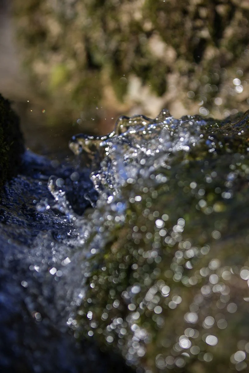 Water