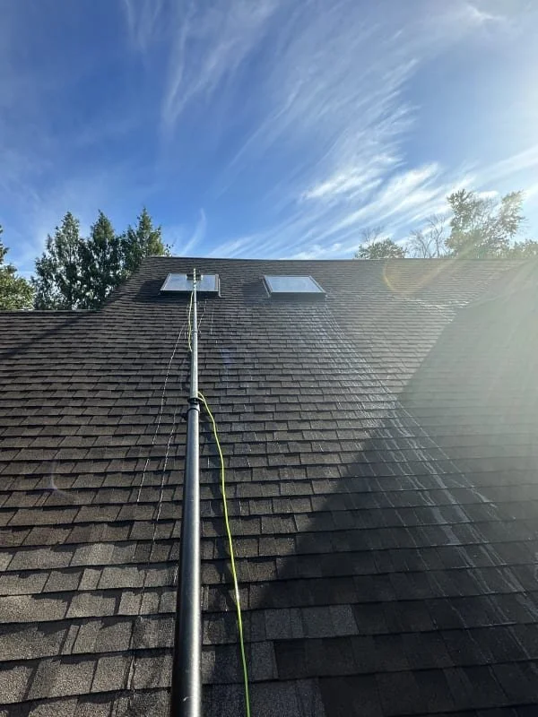 Roof Cleaning