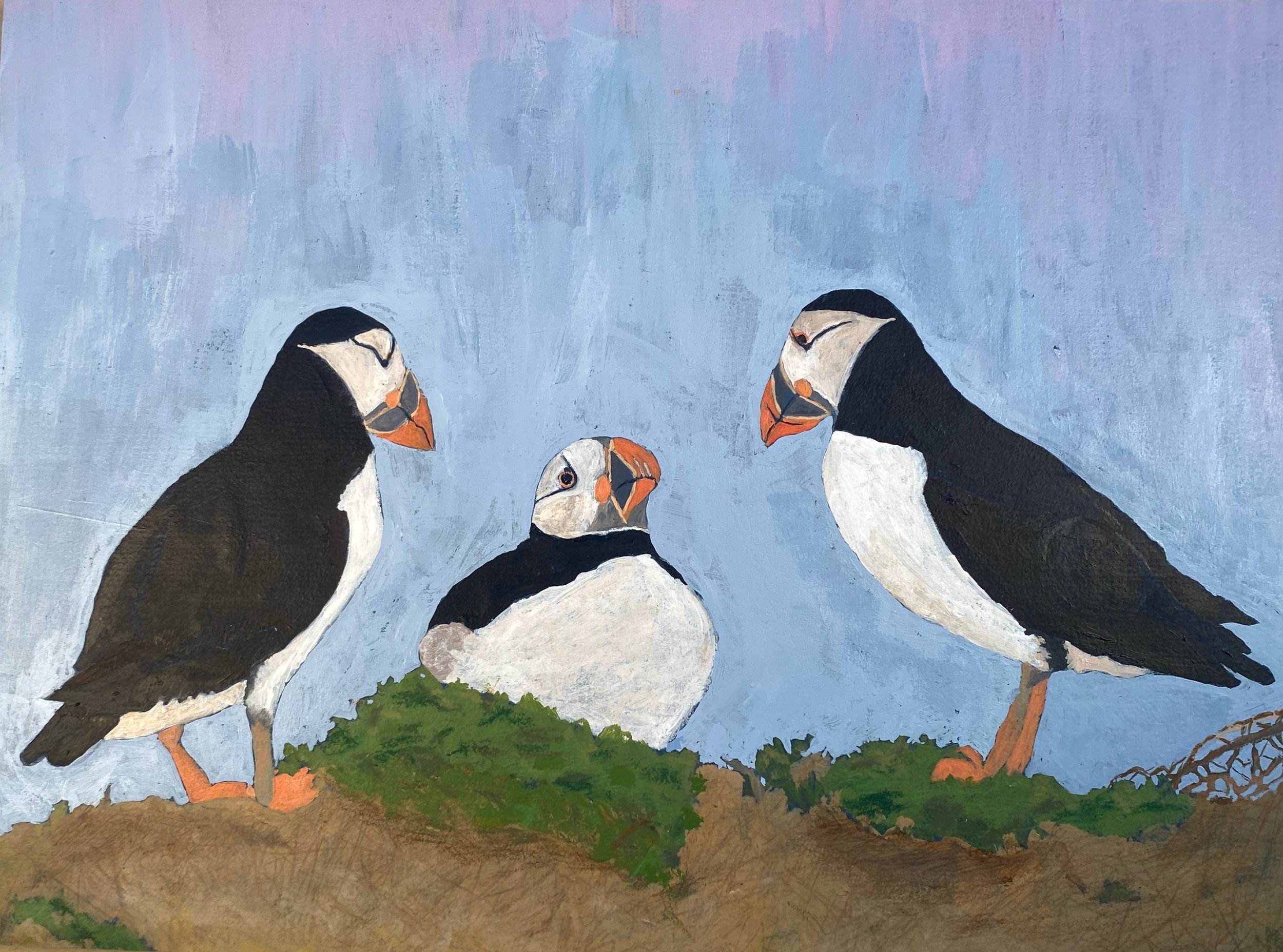 Puffins (from Don) 12" x 16"