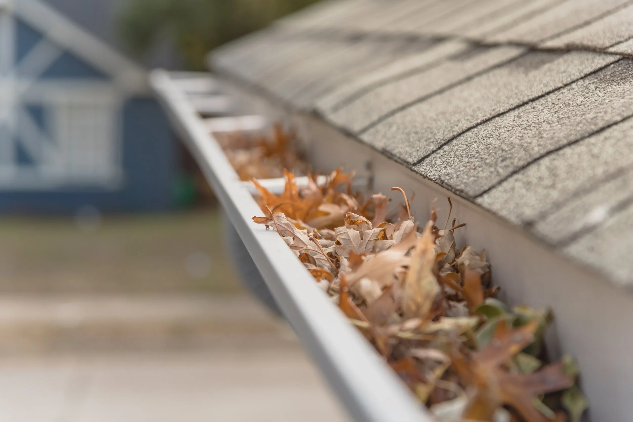 Close-up of a house gutter filled with fallen autumn leaves under a shingled roof.
