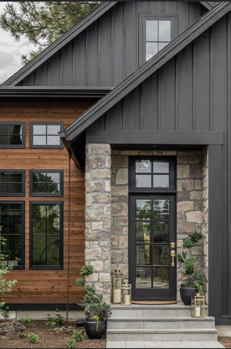 Front entrance of a modern house with a black glass door, stone and wood exterior, and potted plants on stairs.
