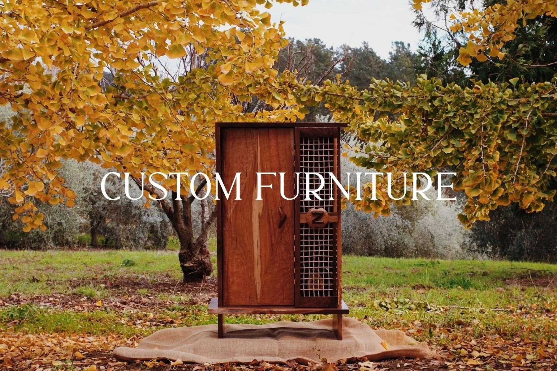 Custom Cabinet built by a Santa Cruz carpenter