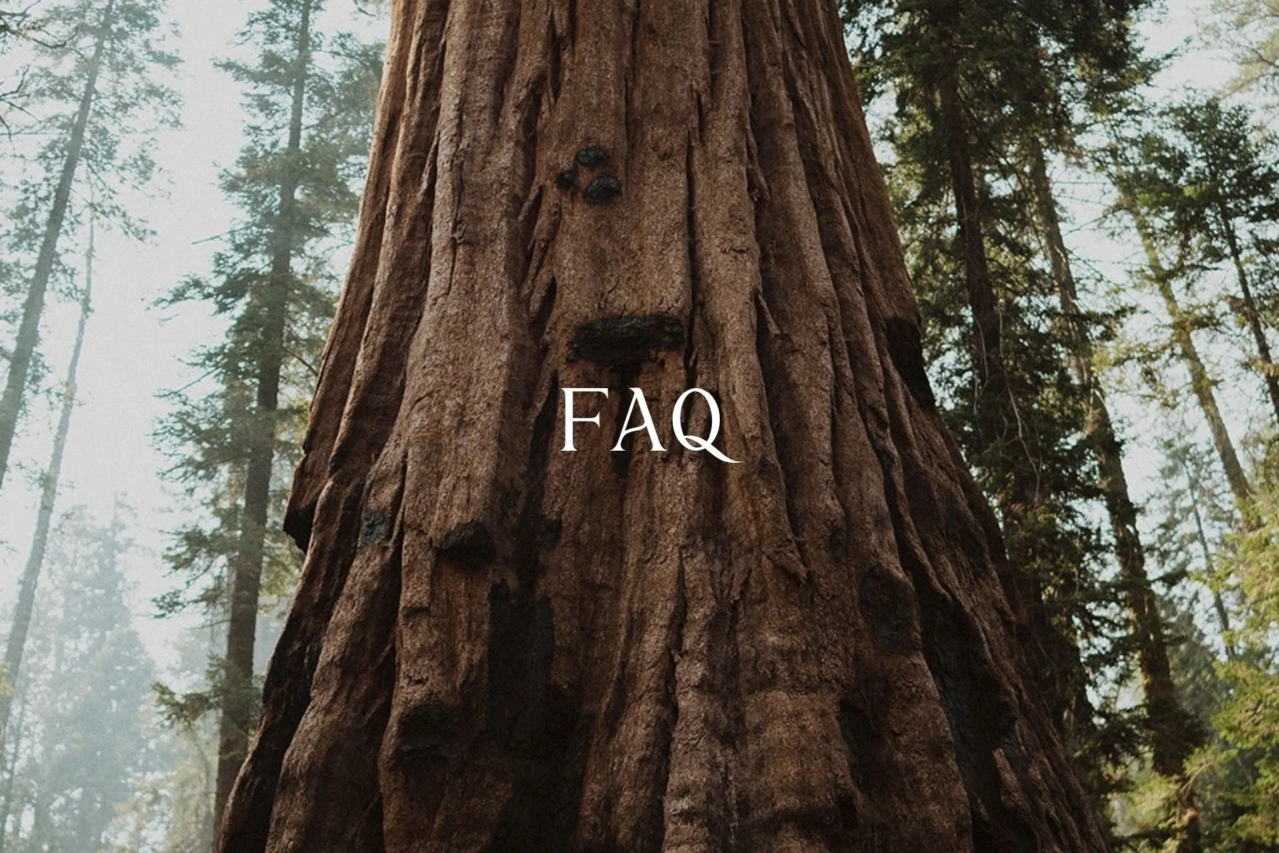 Frequently asked questions for Santa Cruz based carpenter