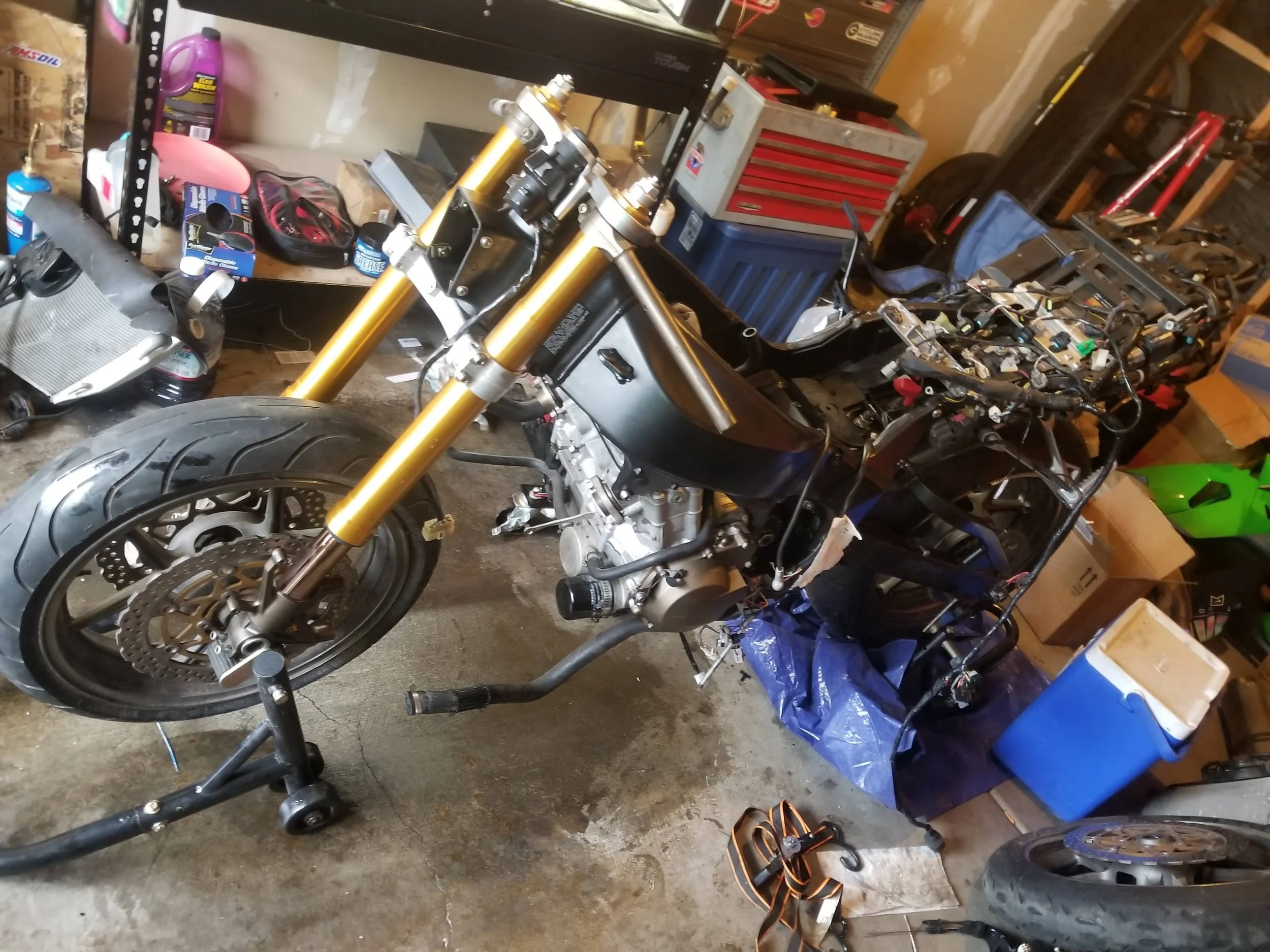 20190320_171037 - Copy.jpg