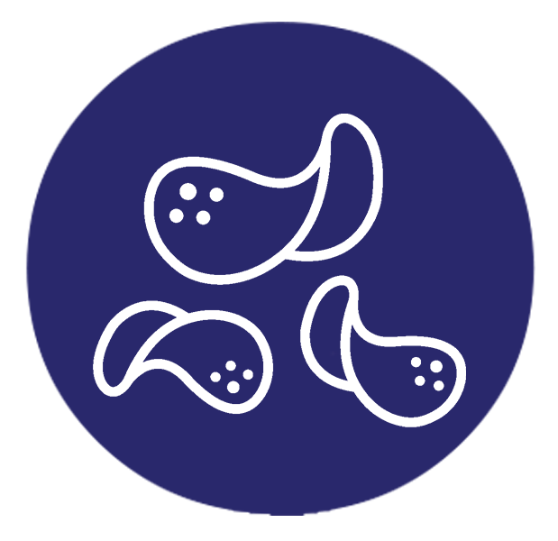 Zapp's Chips (Regular or Voodoo!)