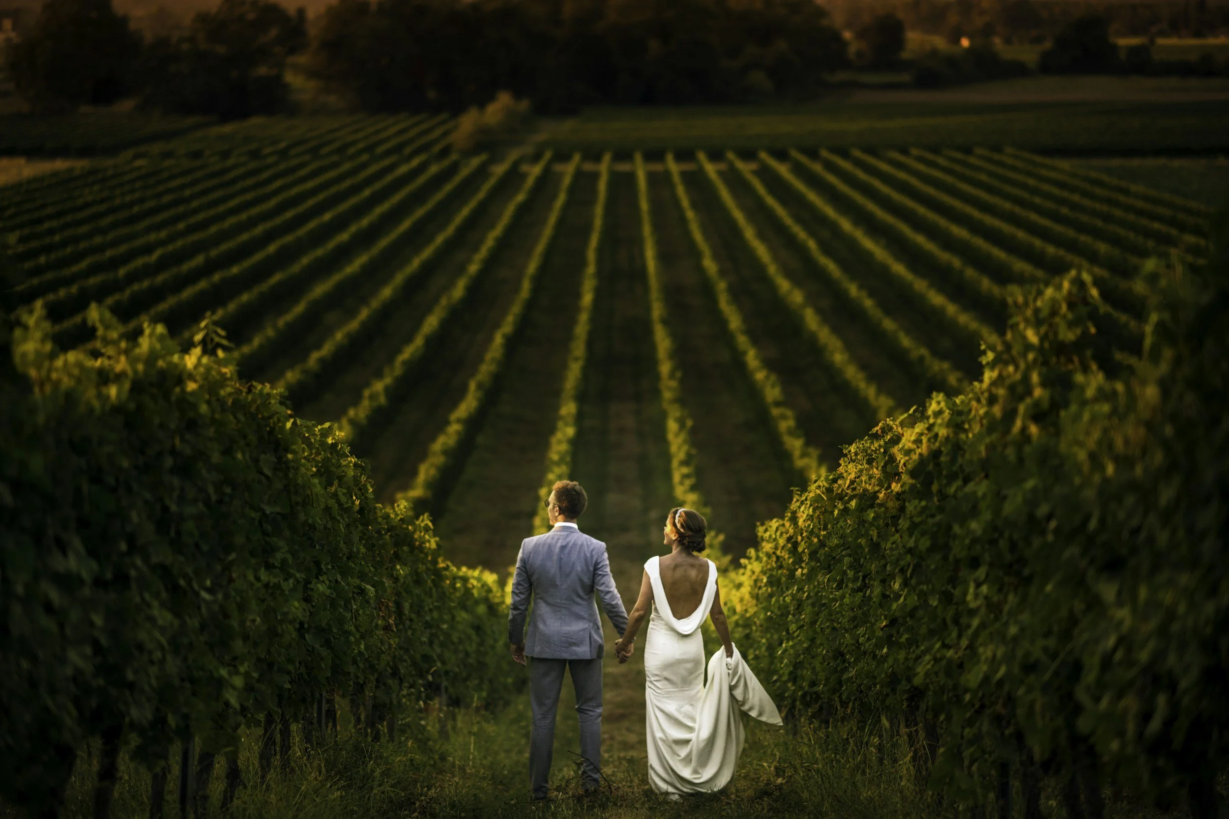 A newlywed couple walking hand in hand through a vineyard at sunset.
