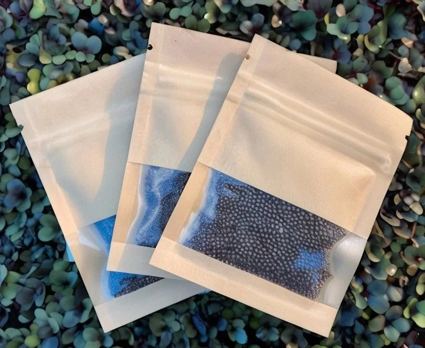 Red Cabbage microgreen seeds