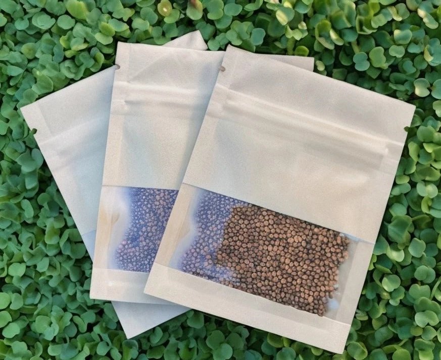Arugula microgreen seeds