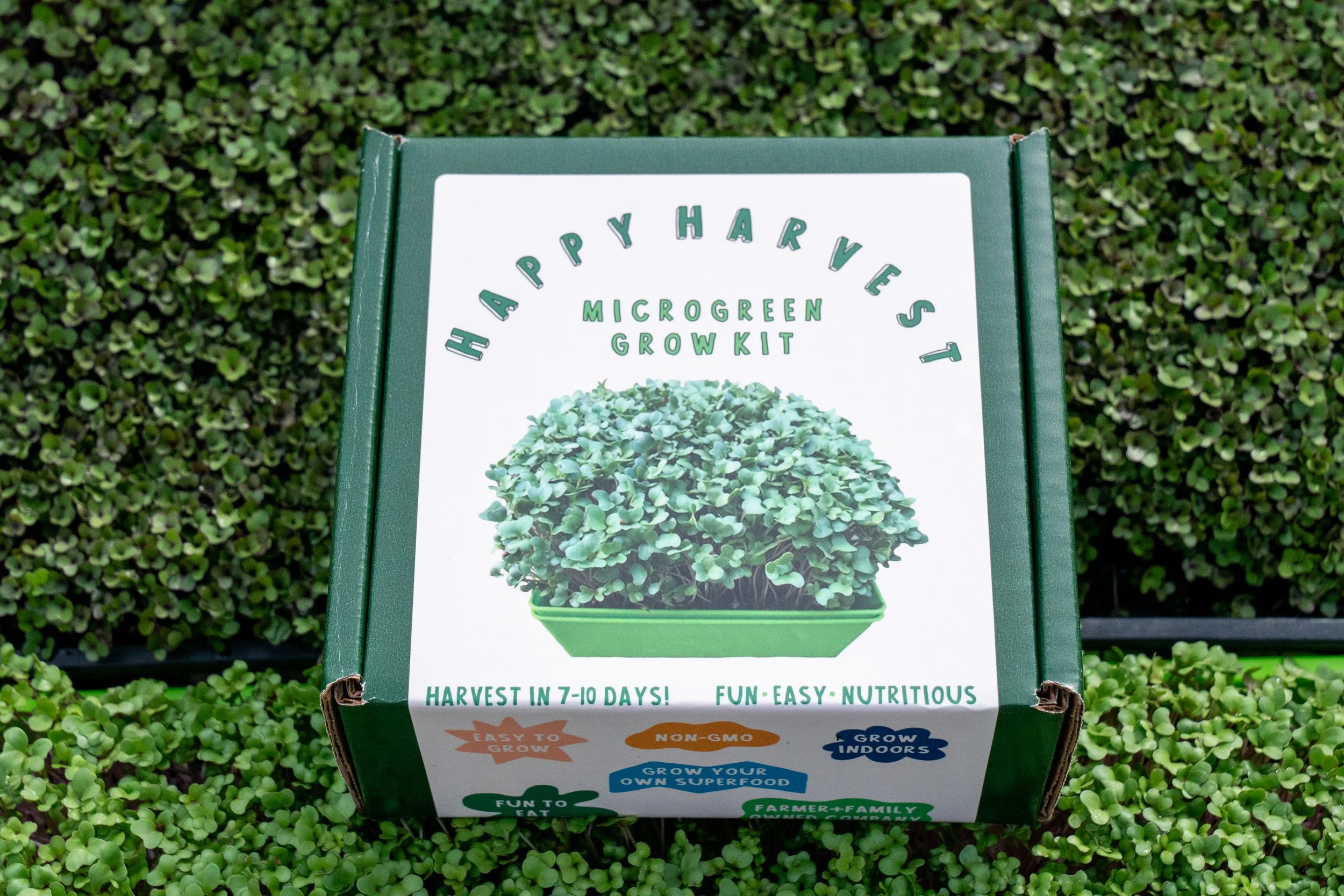 Micro Green Grow Kit