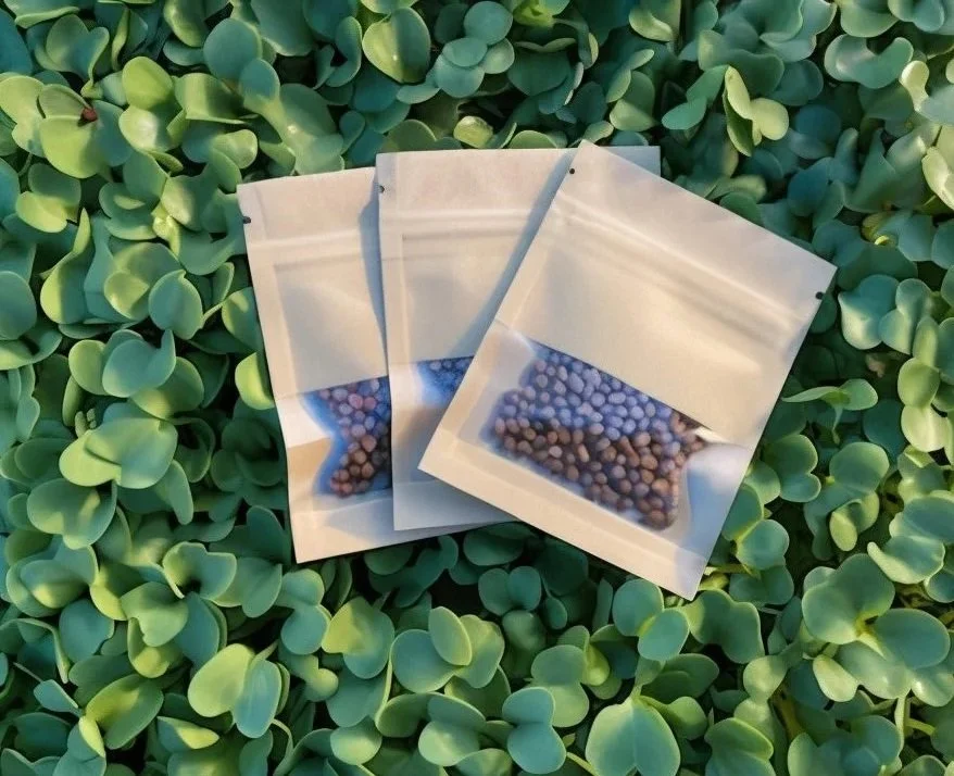 Daikon Radish Microgreen seeds