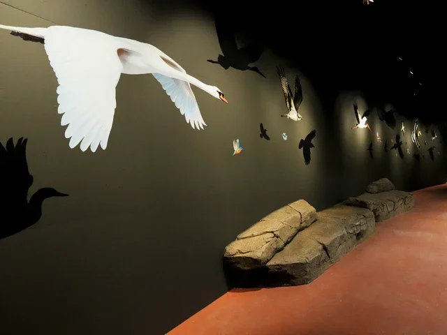 Dresden Zoo_3_Krumme Wand-rt2cq78ymvjmw3m.webp