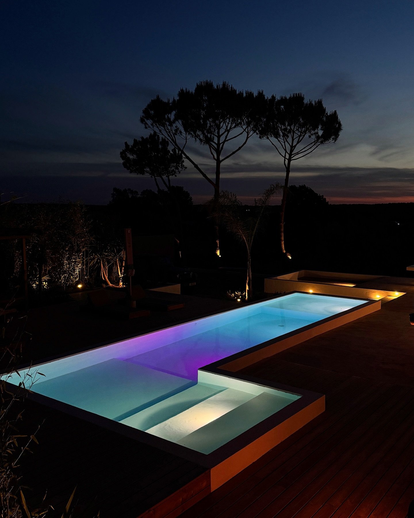 The night dive.