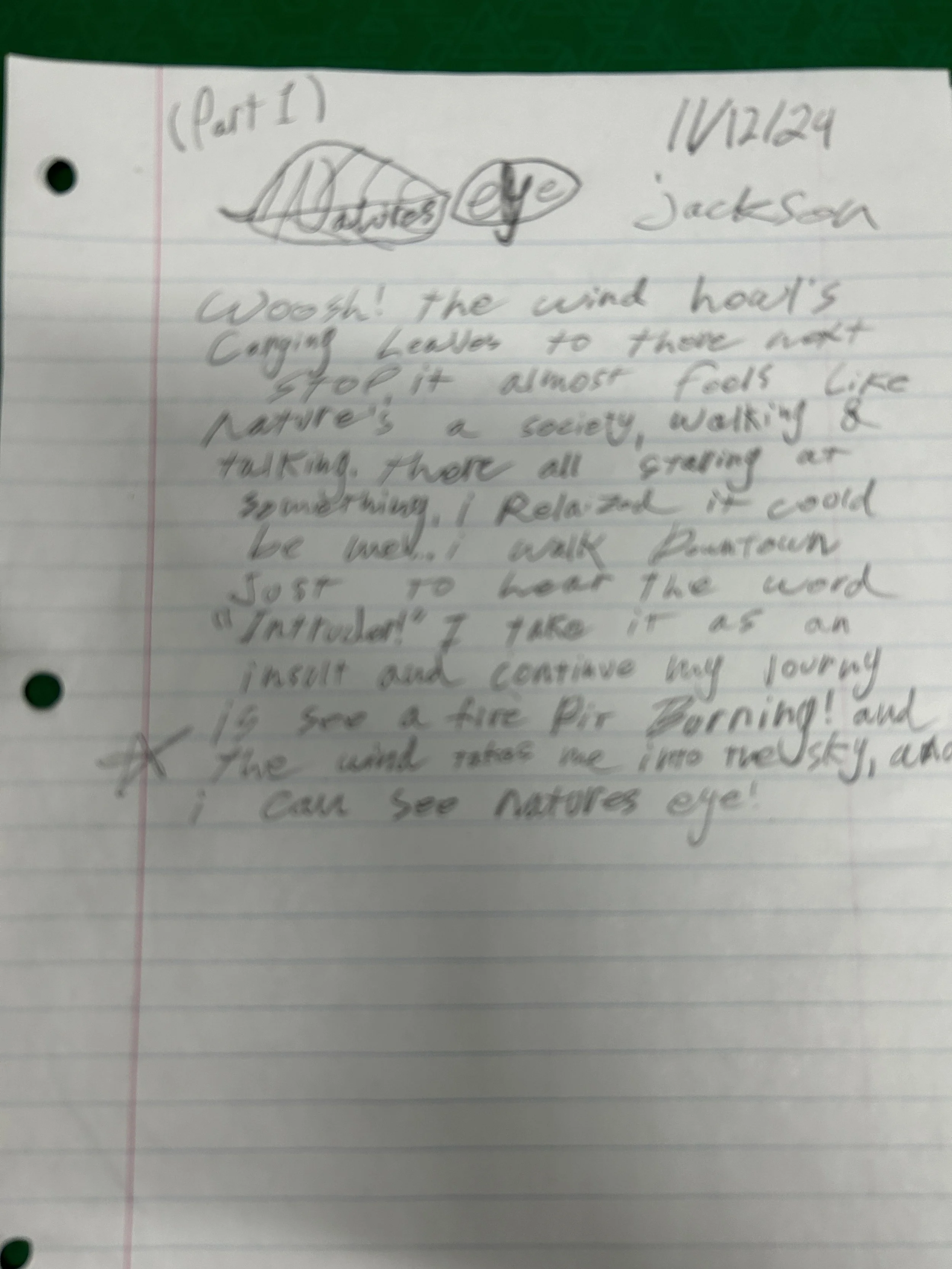 Jackson Neustadter NATURE_S EYE (PART 1) handwritten IMG_3637.JPG