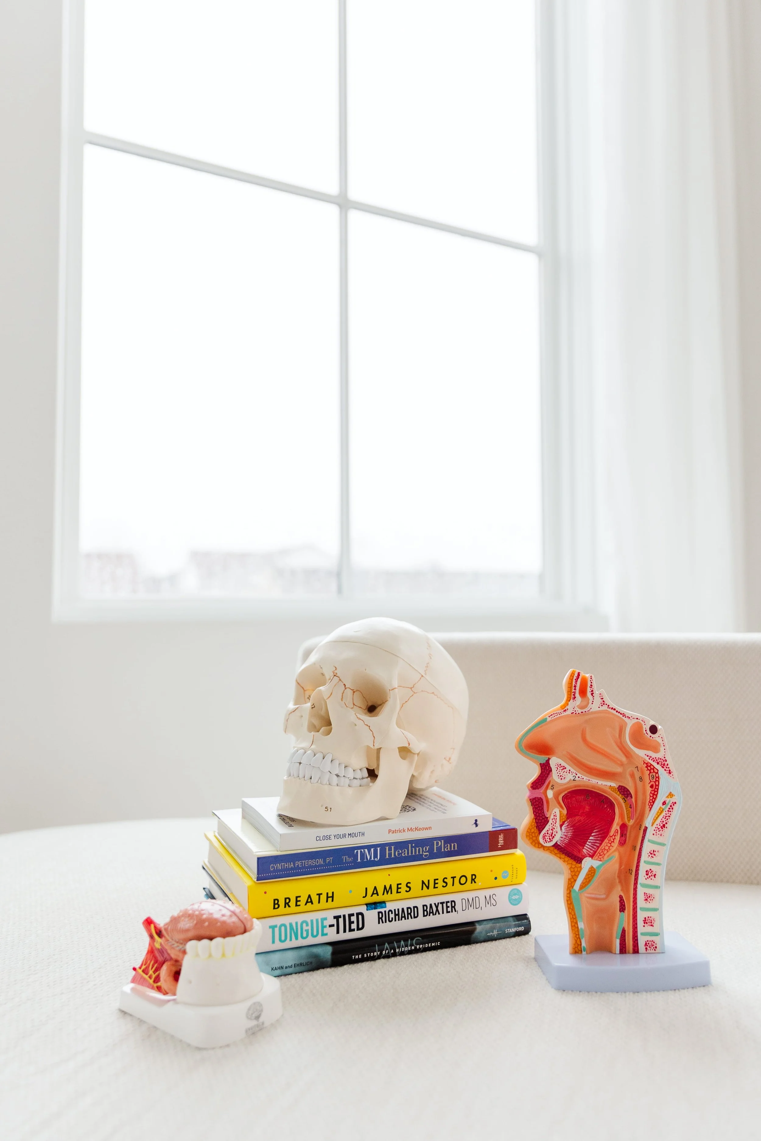 Educational display featuring anatomical models of the human skull, nose, and mouth, along with a stack of books on medical and dental topics, placed on a white surface near a window with bright natural light.