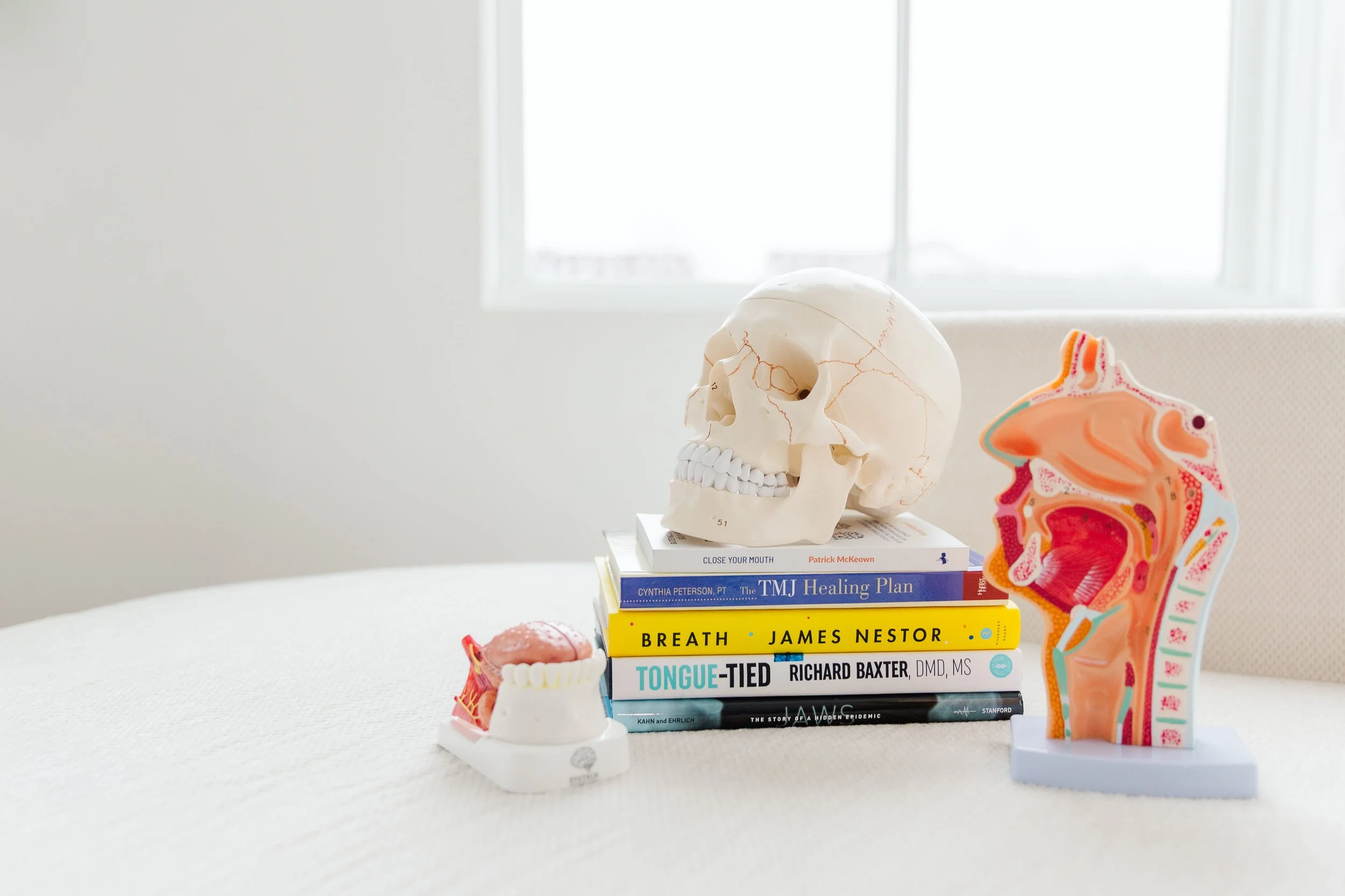 An arrangement of dental-themed items on a white surface, including a human skull model, anatomical models of the inside of a mouth with teeth, and a stack of books about healing and health, with a window in the background.