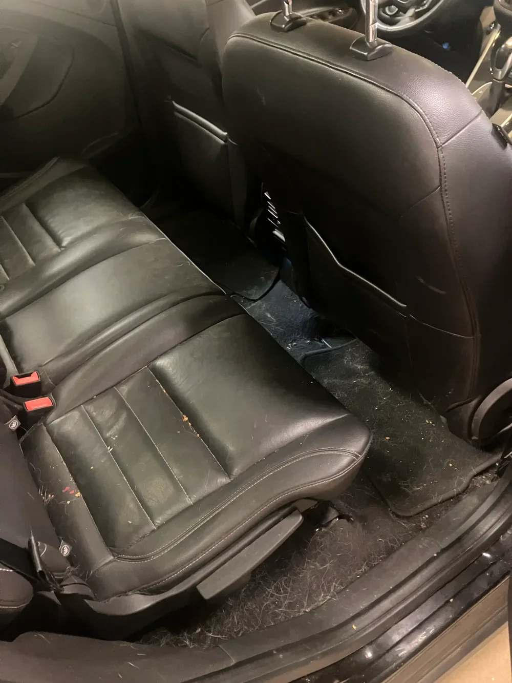 Black leather back seats and dirty floor mats before interior detail in DC