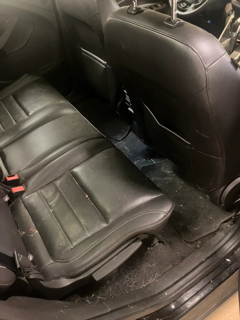 Car seats covered in dog hair before interior detailing in Washington DC