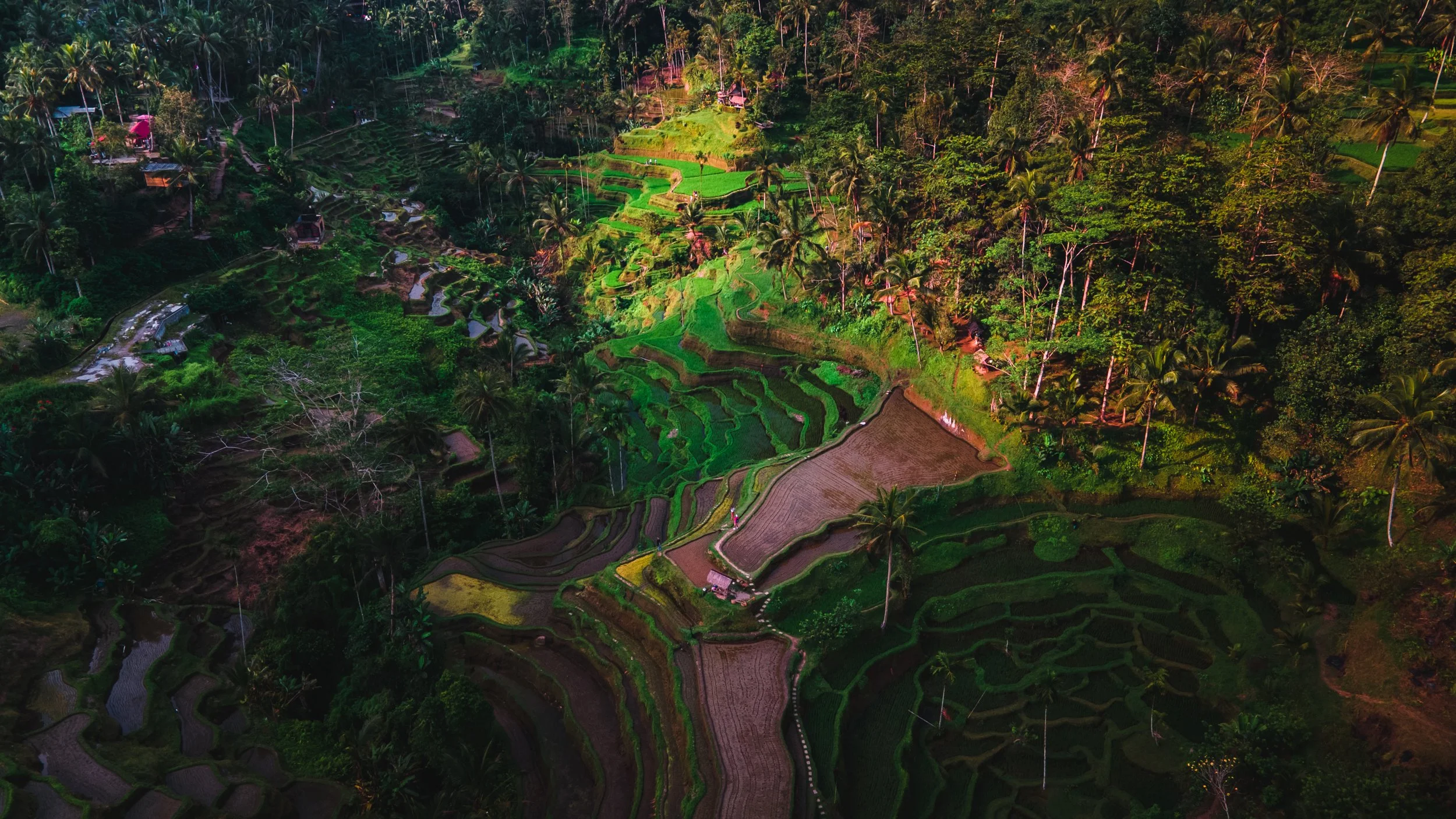 DJI_0191-HDR.jpg