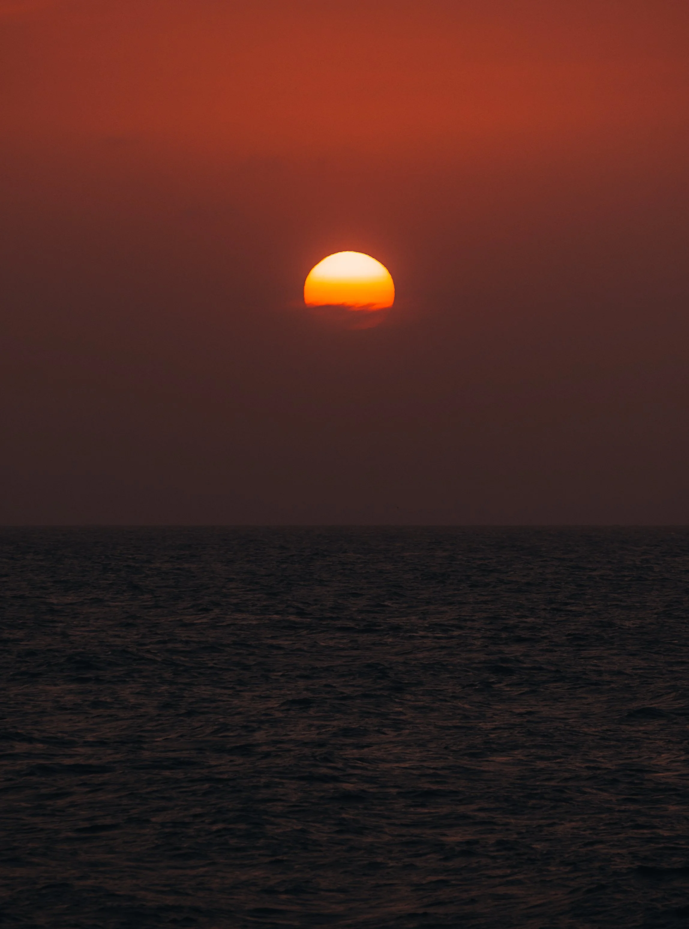DSC_4751.jpg