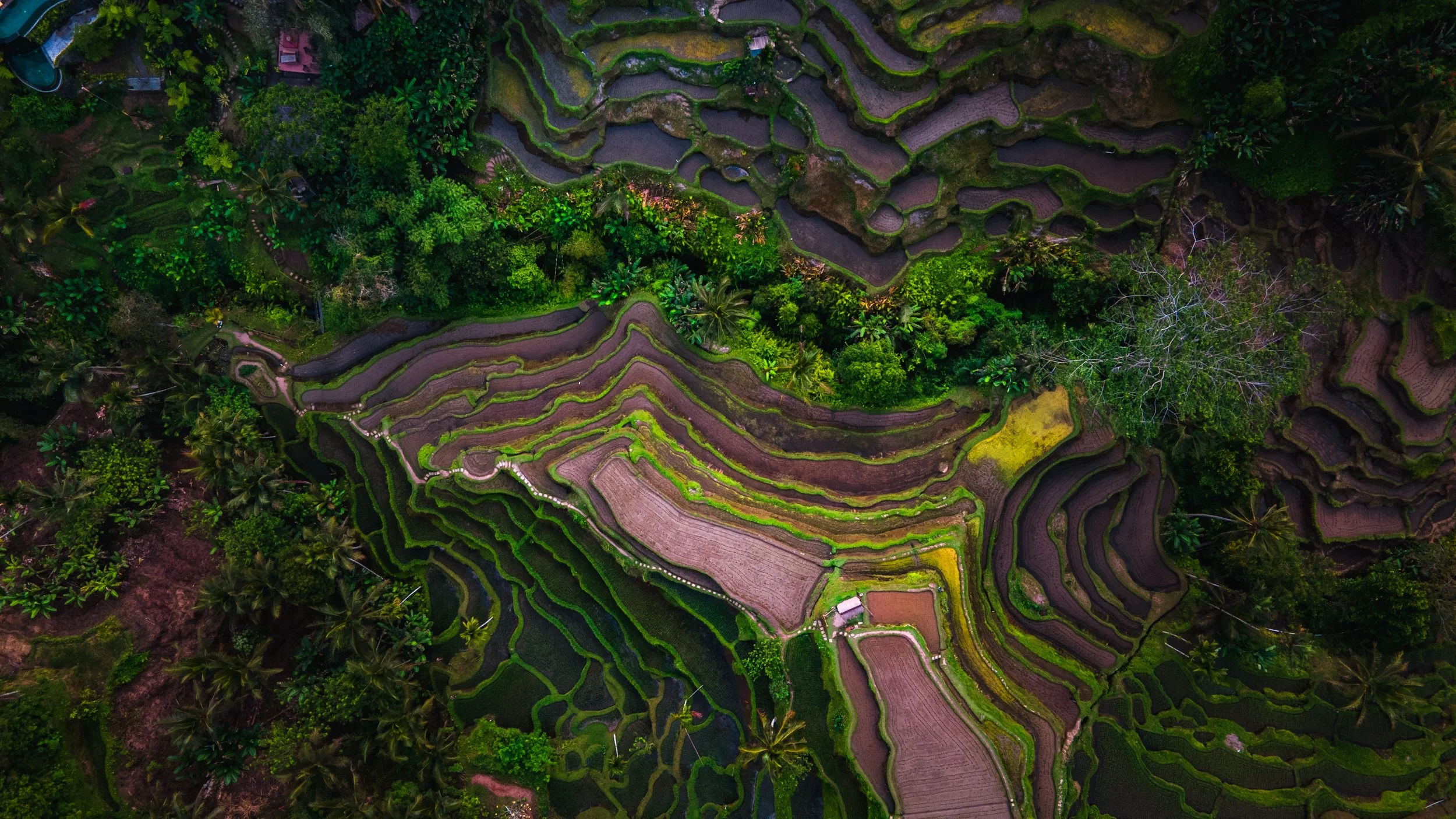 DJI_0136-HDR.jpg