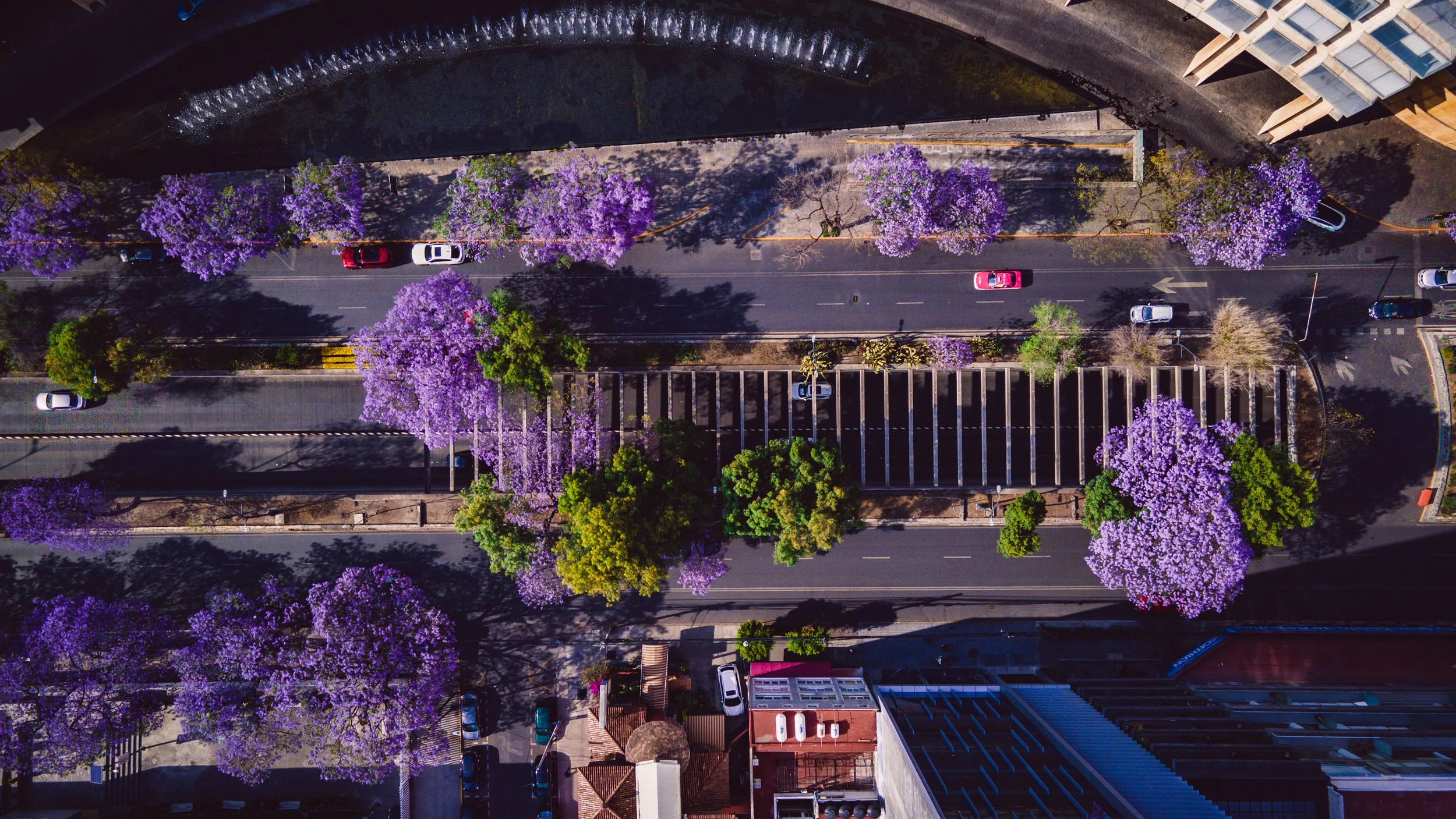 DJI_0730-HDR.jpg