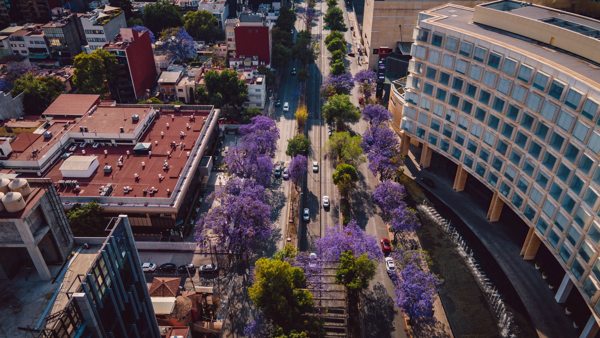 DJI_0709-HDR.jpg