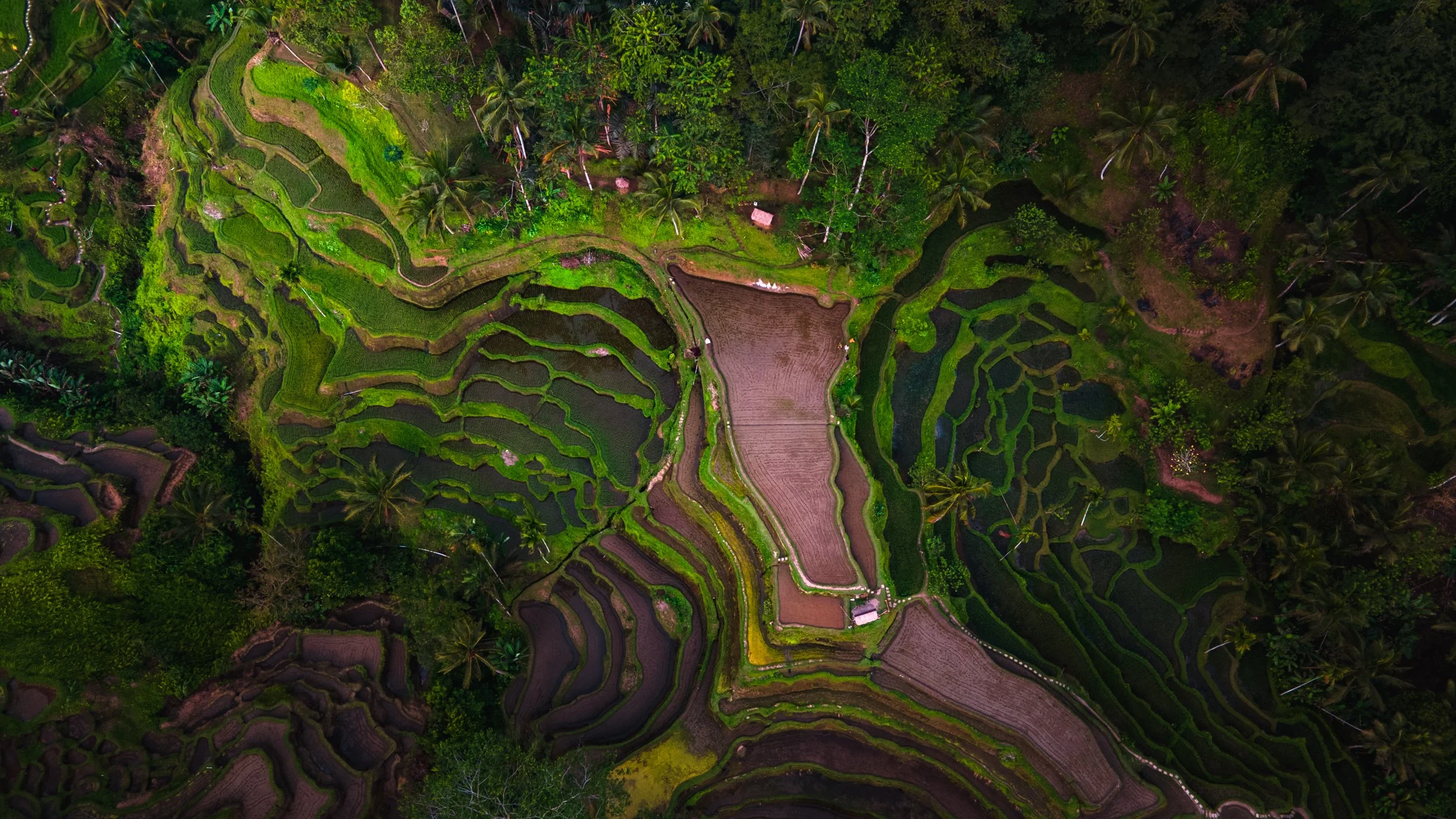 DJI_0141-HDR.jpg