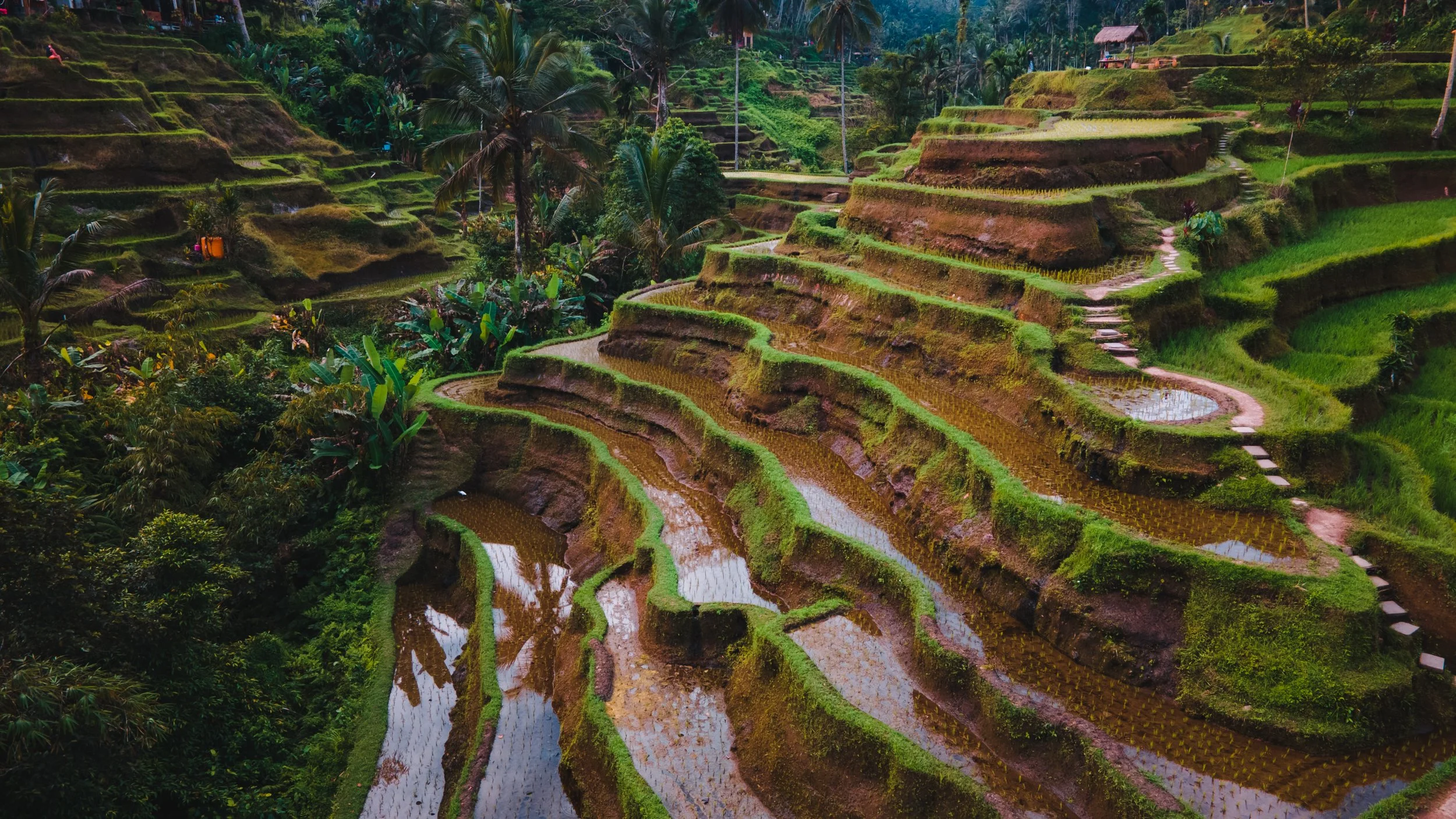 DJI_0175-HDR.jpg