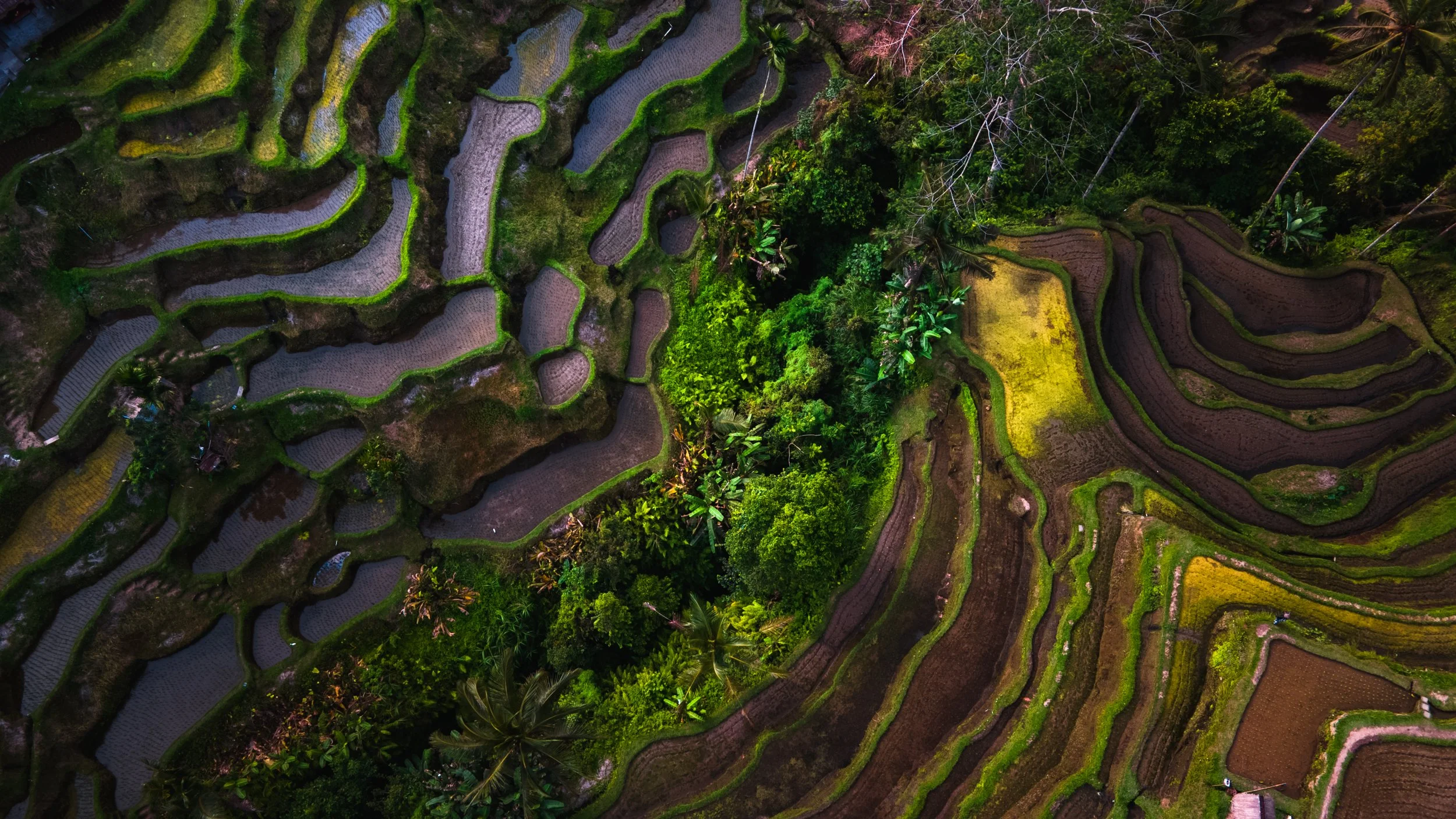 DJI_0125-HDR.jpg
