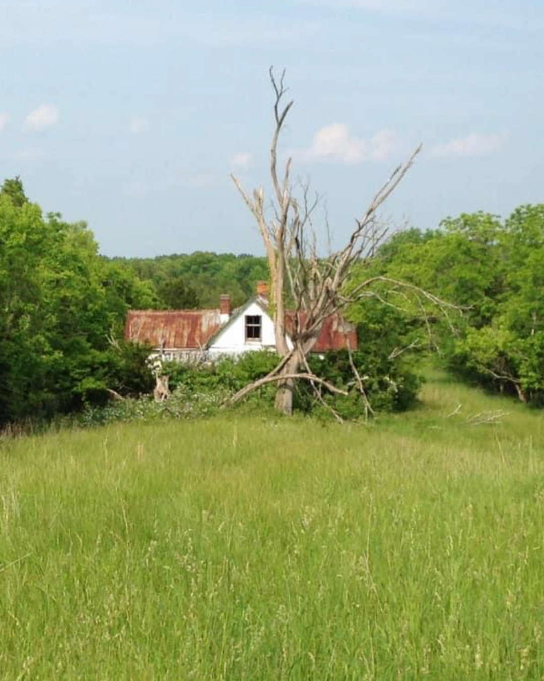What remains of the Scott Homeplace: a once-thriving, 25-acre farm on Gumlick Pike in Williamstown, KY. 