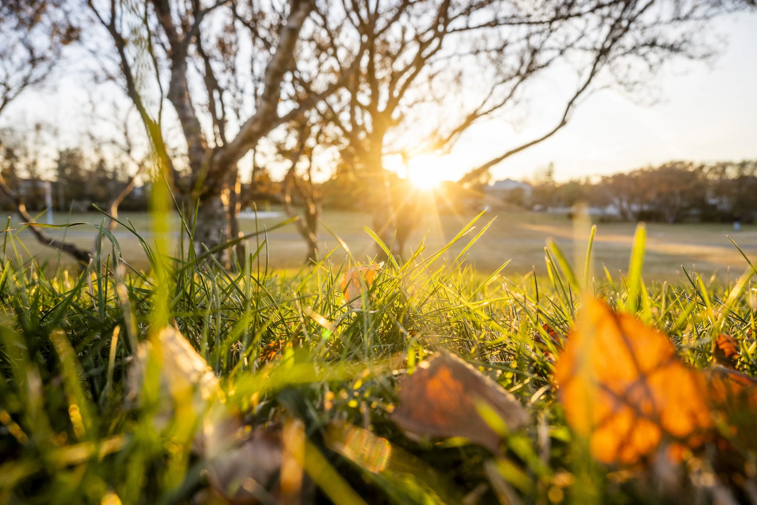sunset in Iceland in the end of teh summer