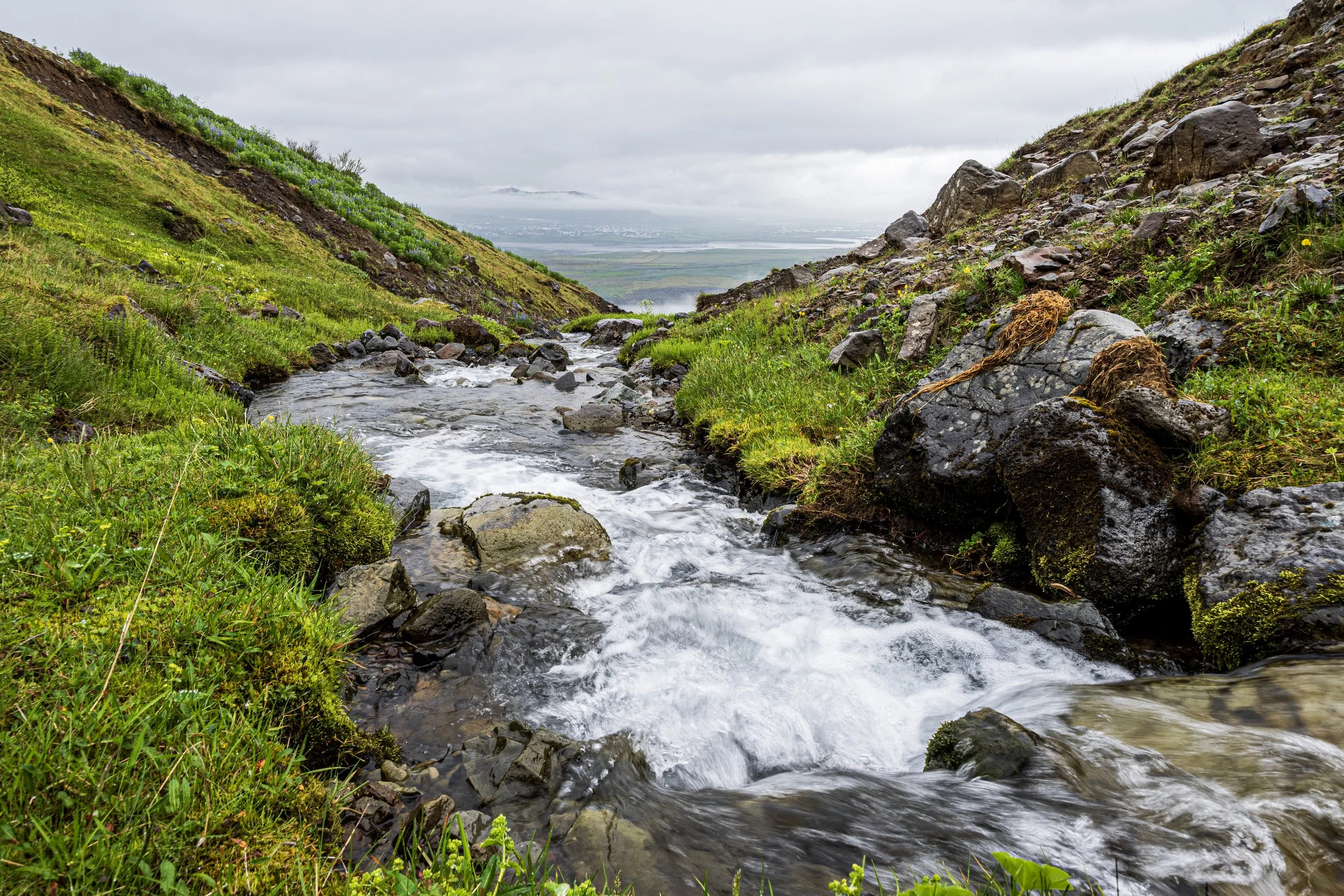River in Iceland in the summer