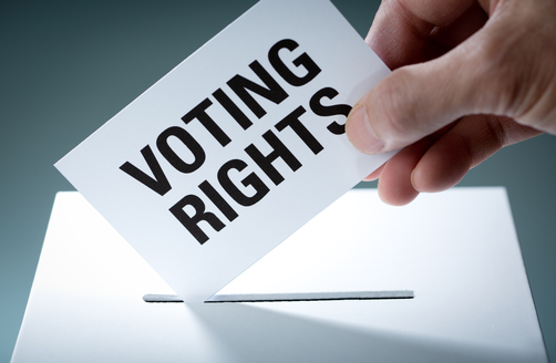  NHDP VOTER ACCESS PROGRAM: Educating Voters & Protecting the Right to Vote