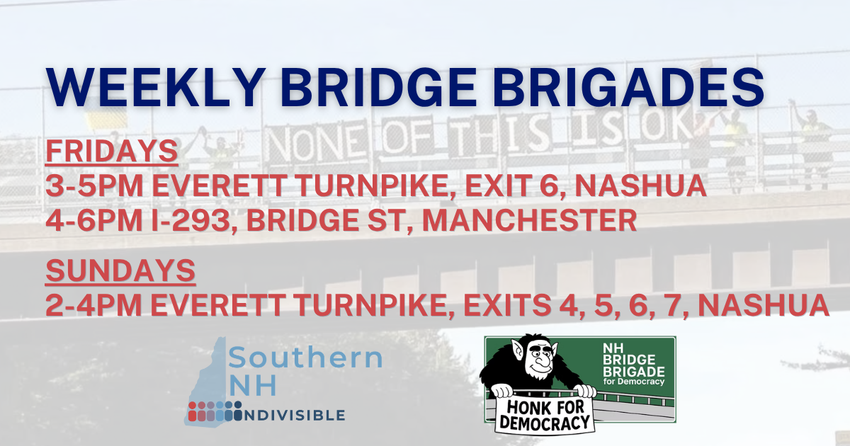 weekly Bridge Brigade 