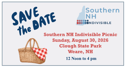 Southern NH Indivisible picnic