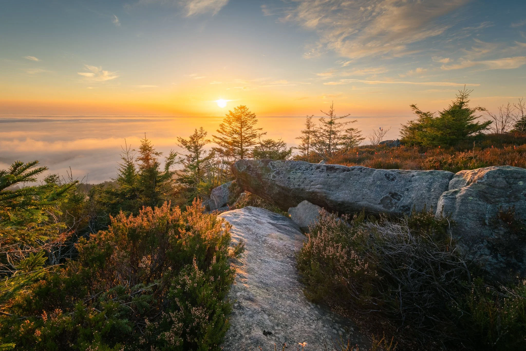 RY7A1122-HDR.jpg