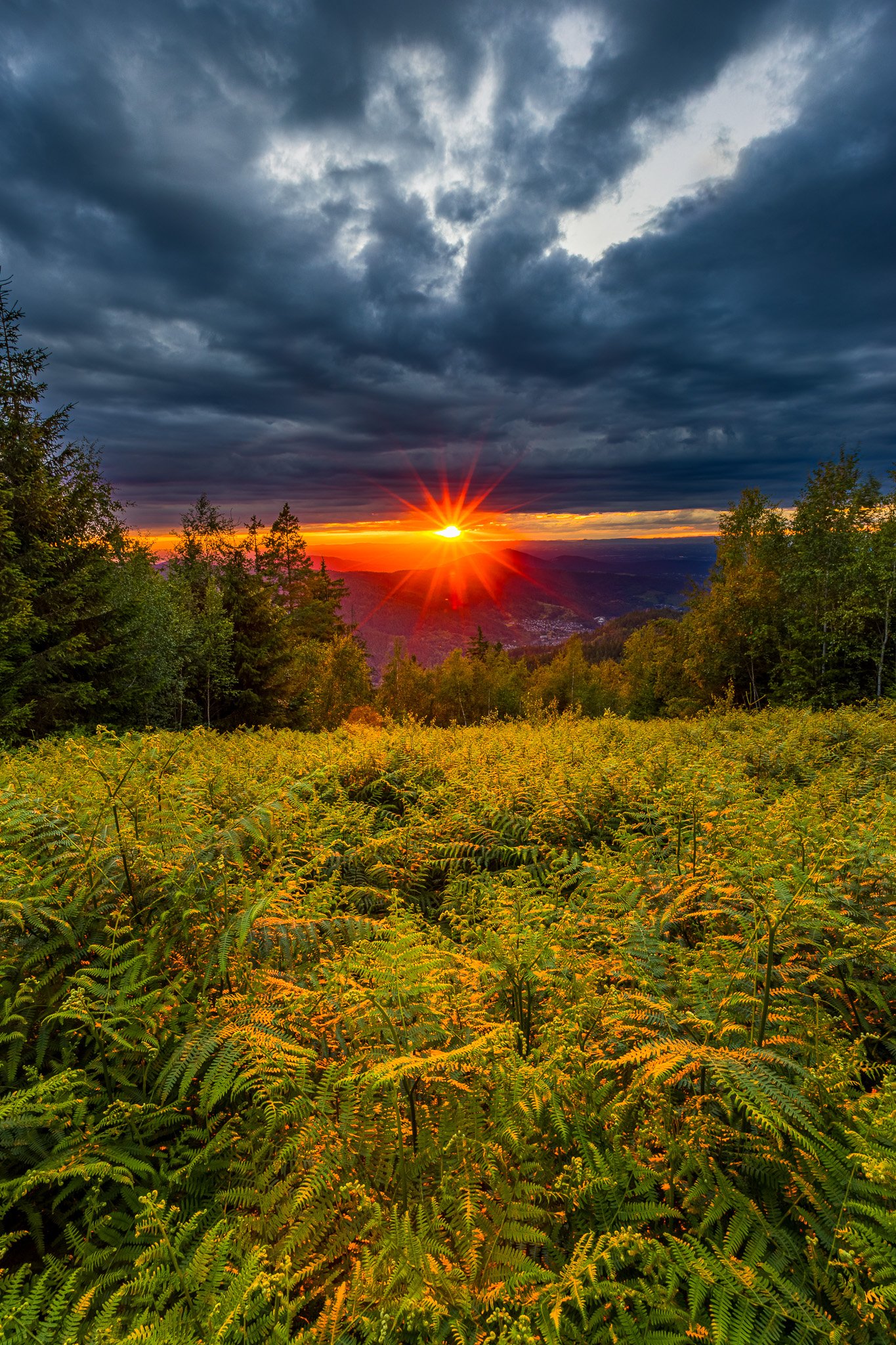 IMG_2093-HDR.jpg