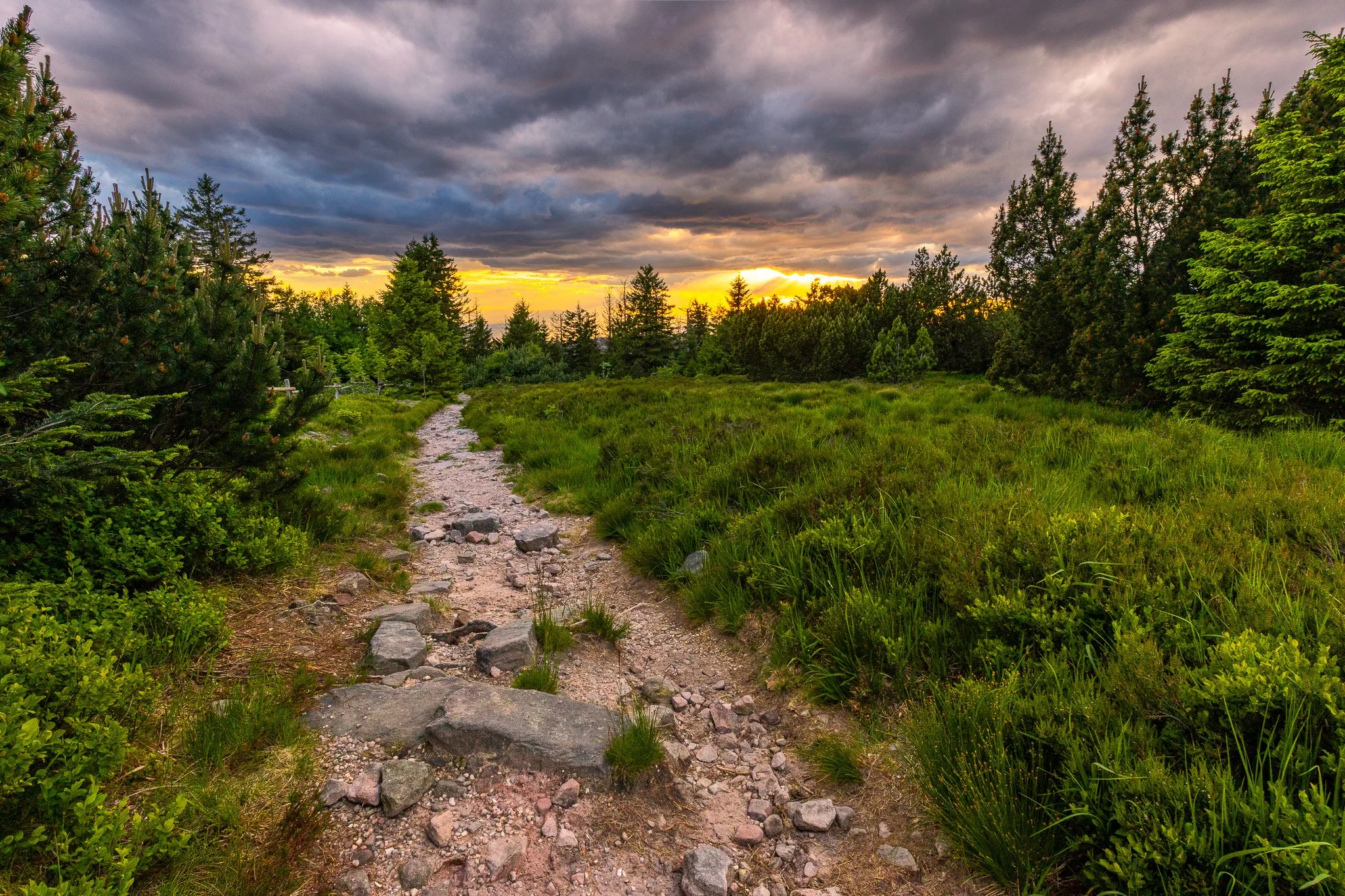 IMG_0905-HDR.jpg