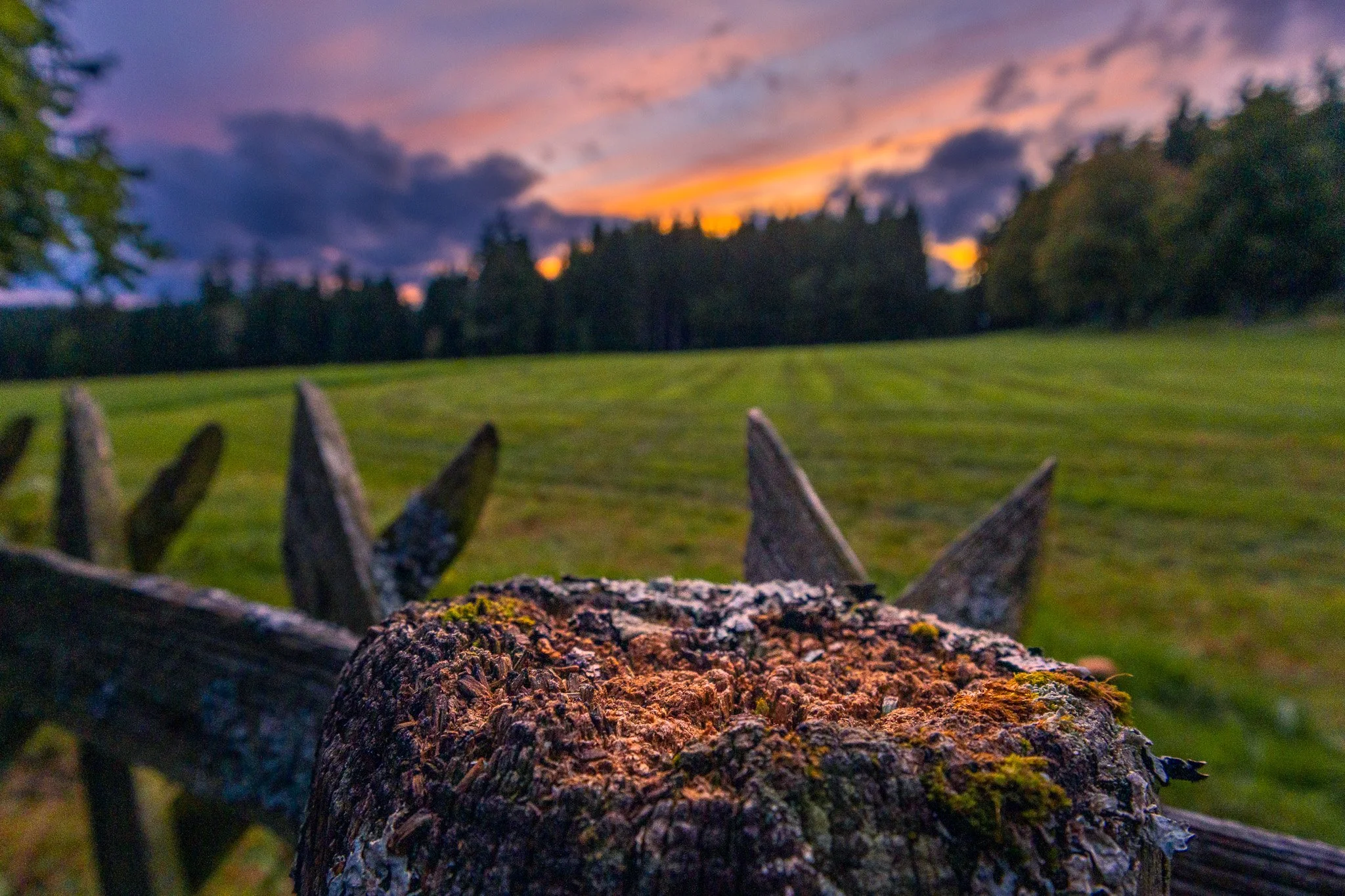 Alter Zaun 2 (Querformat)