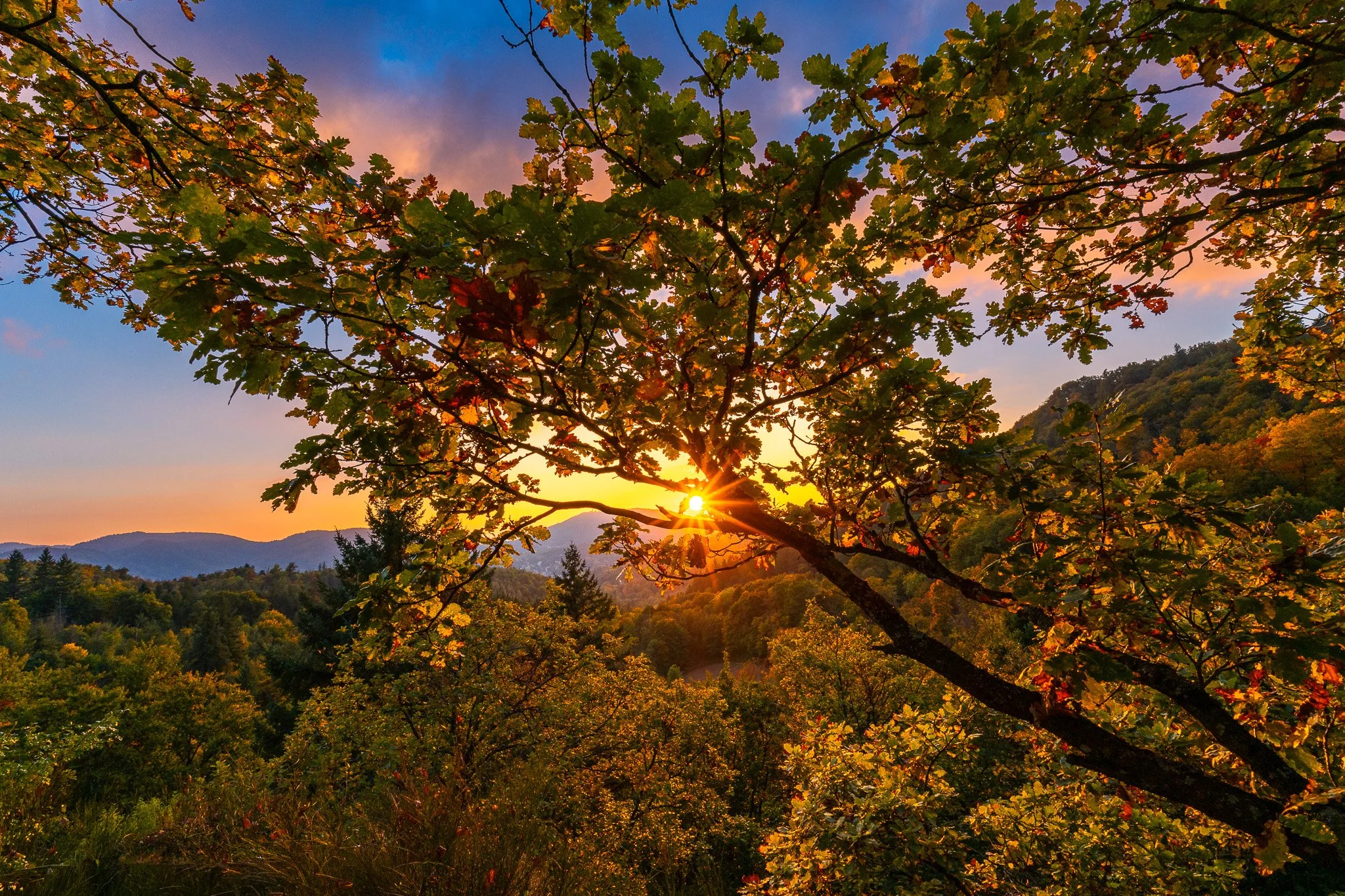 Herbstsonne (Querformat)